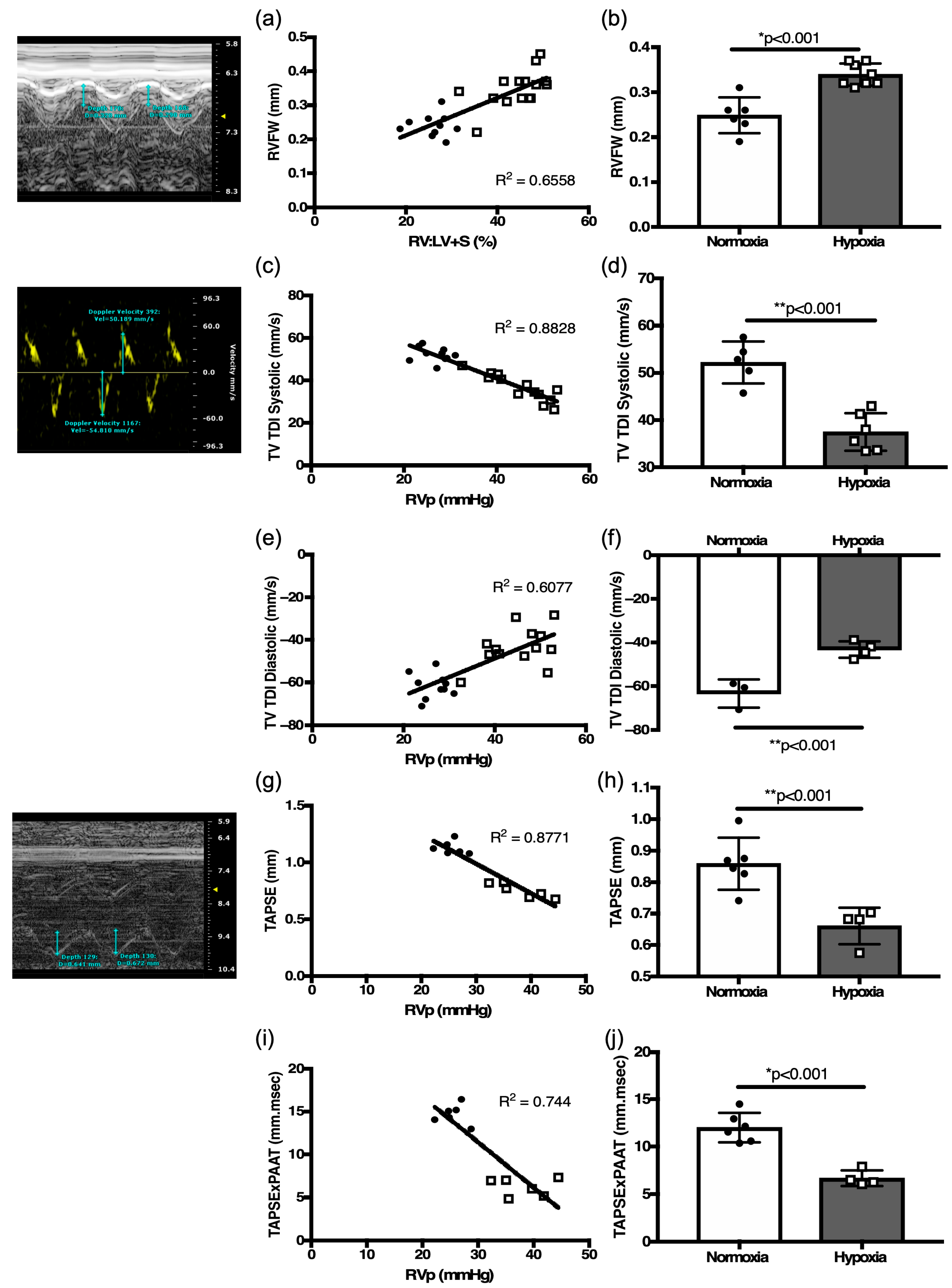 Jcdd 12 00316 g004 Jcdd 12 00316 g004