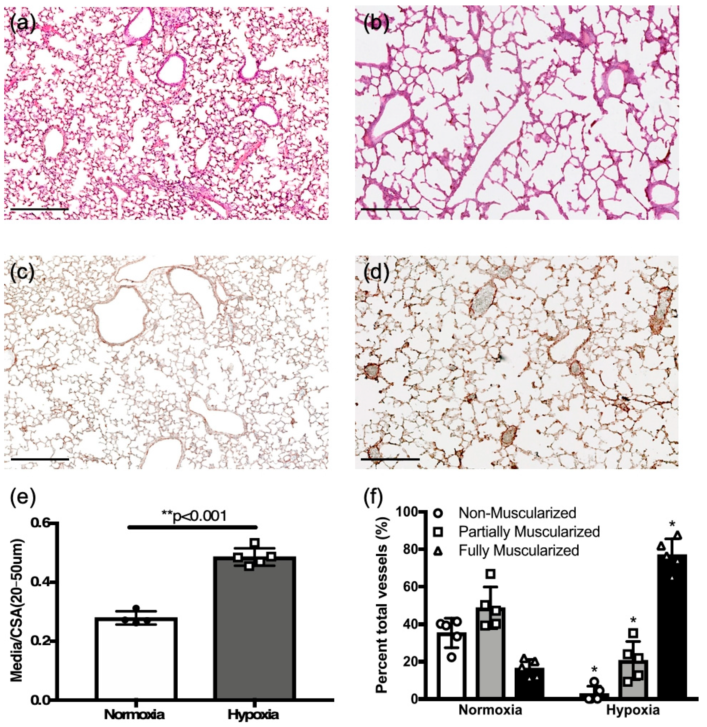 Jcdd 12 00316 g005 Jcdd 12 00316 g005