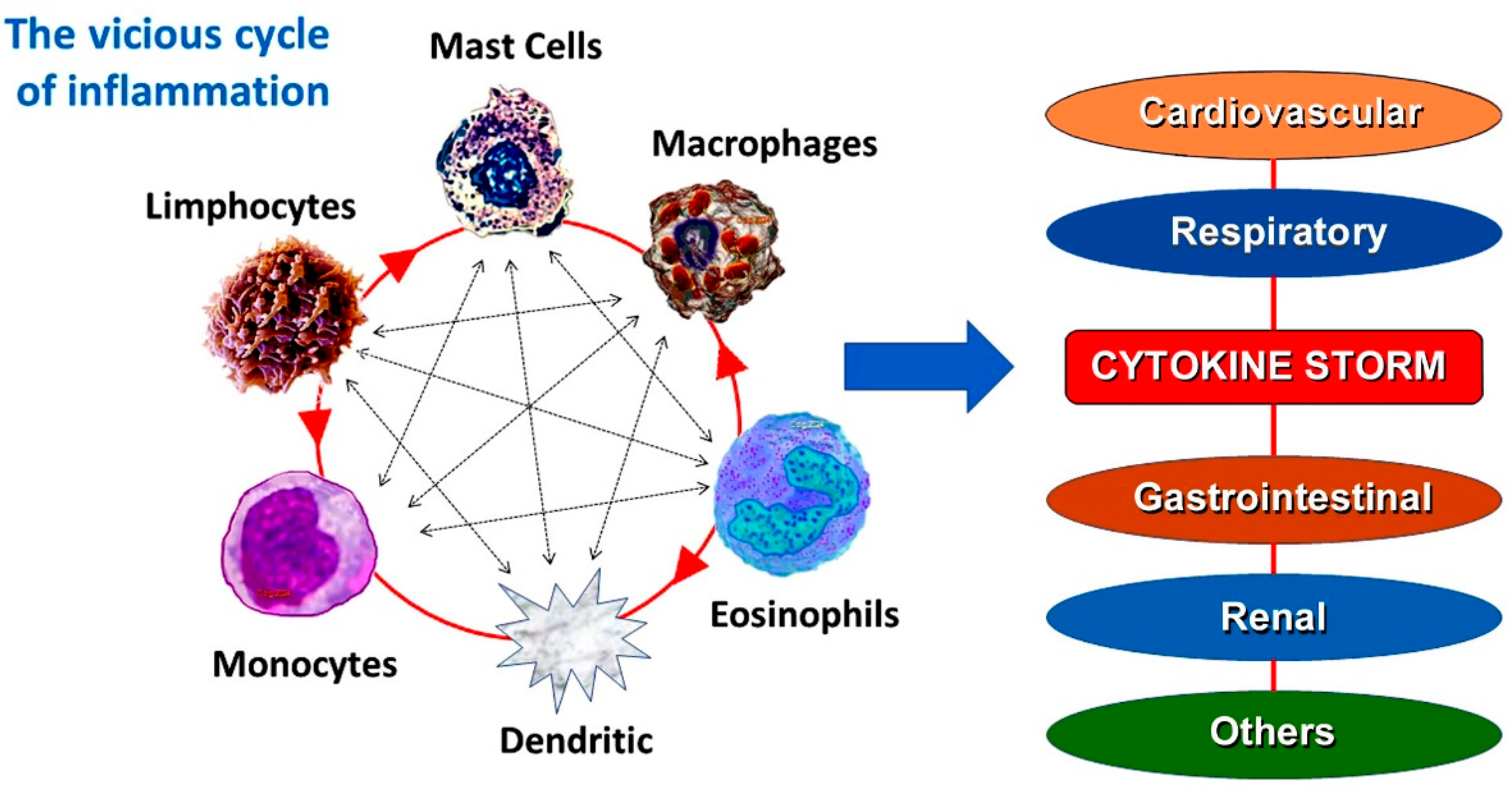 Jcdd 12 00325 g001 Jcdd 12 00325 g001