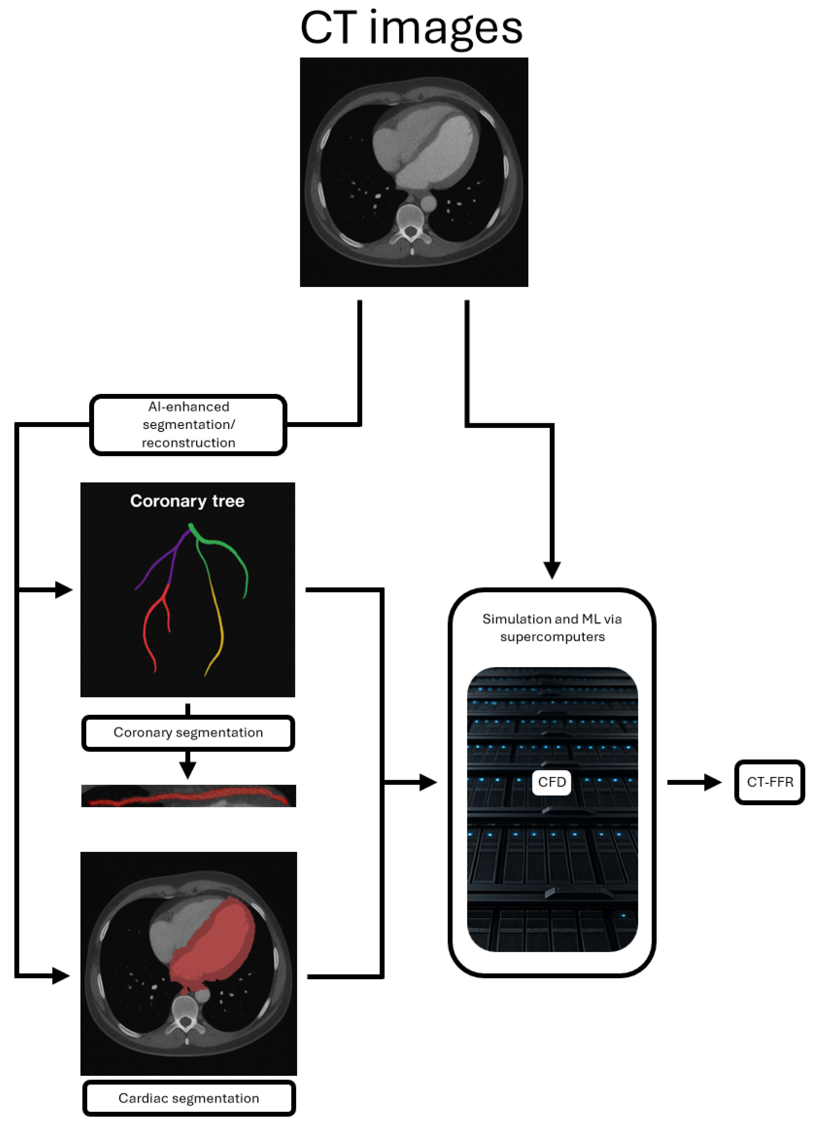 Jcdd 12 00350 g001 Jcdd 12 00350 g001