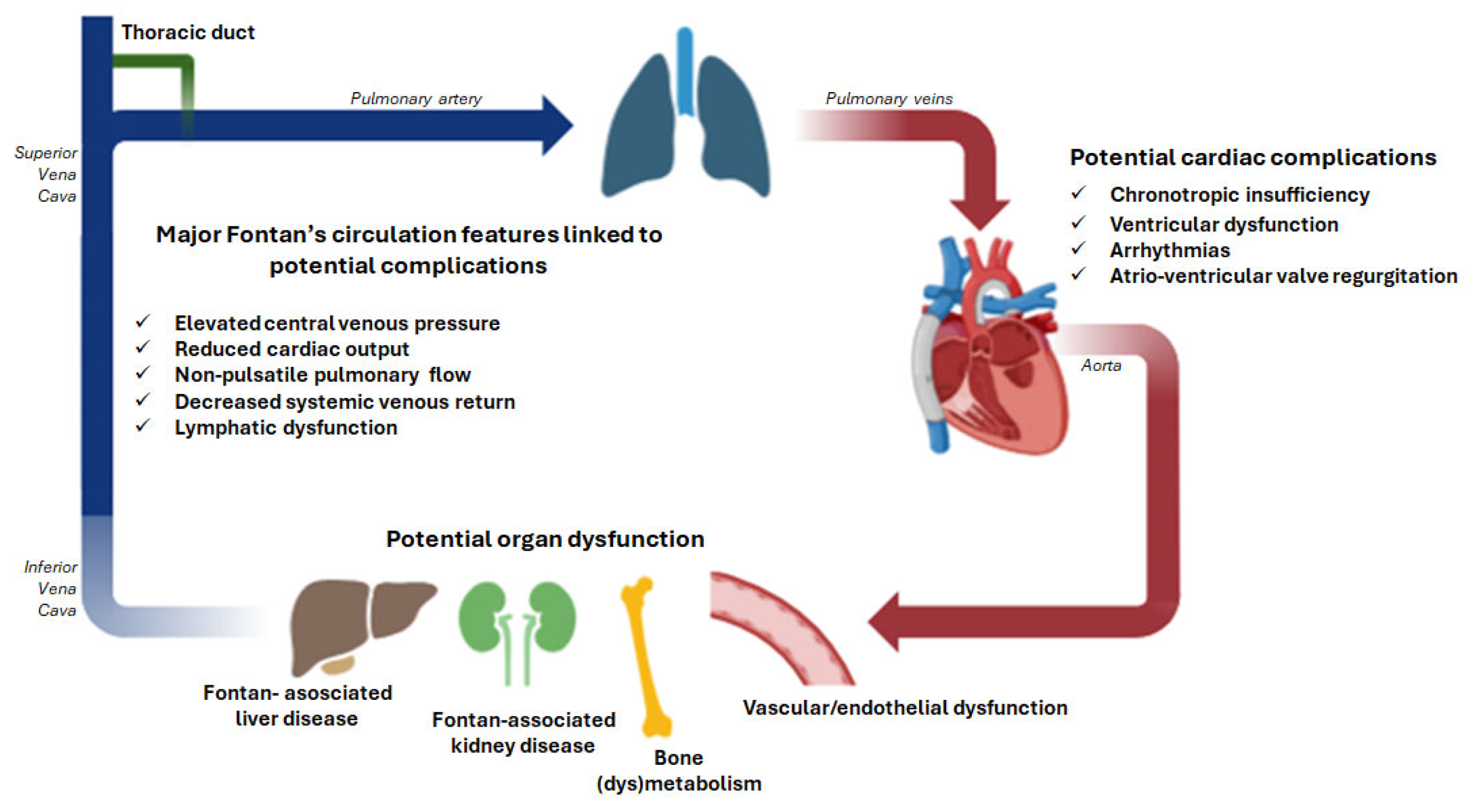 Jcdd 12 00358 g001 Jcdd 12 00358 g001
