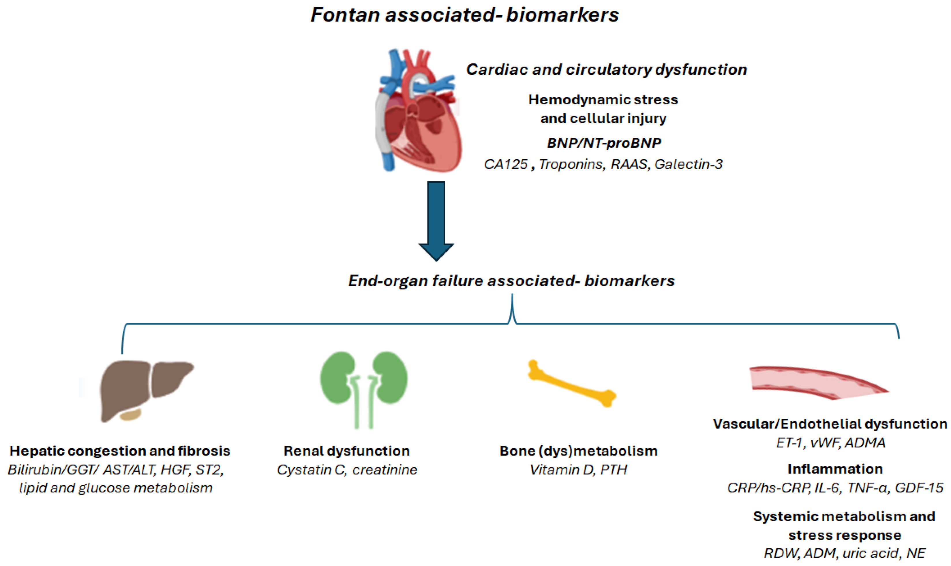 Jcdd 12 00358 g002 Jcdd 12 00358 g002