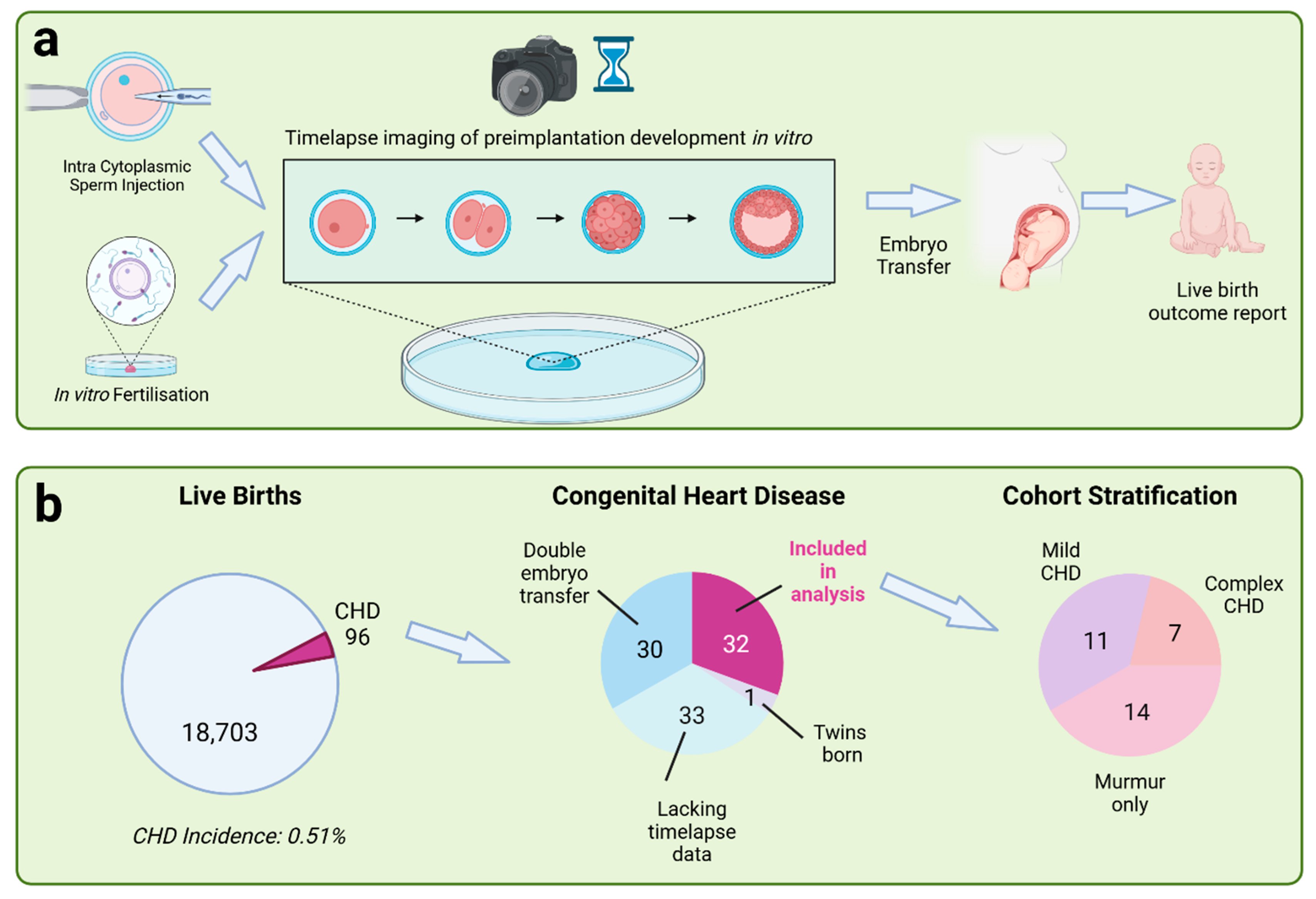 Jcdd 12 00370 g001 Jcdd 12 00370 g001