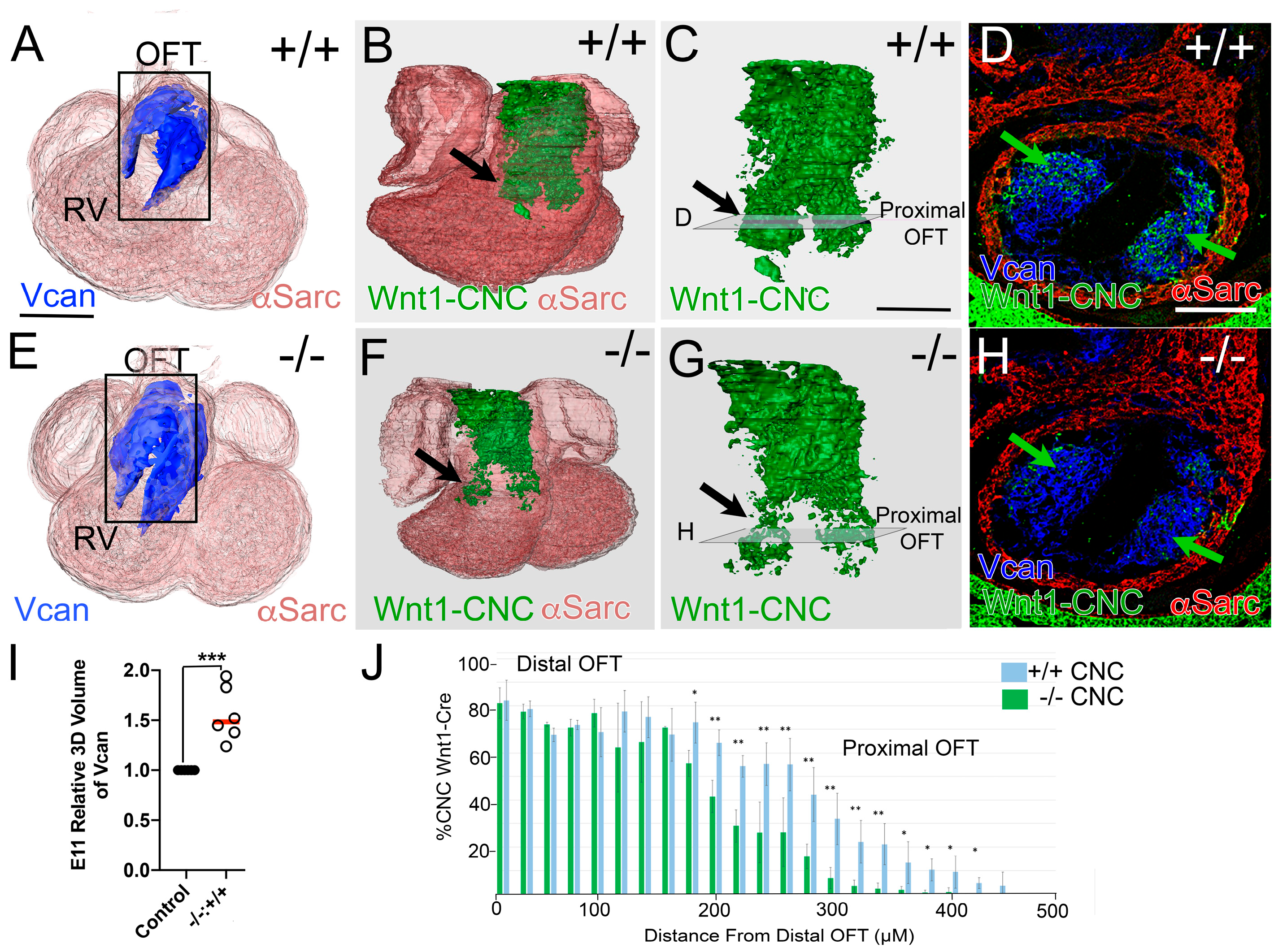 Jcdd 12 00371 g001 Jcdd 12 00371 g001