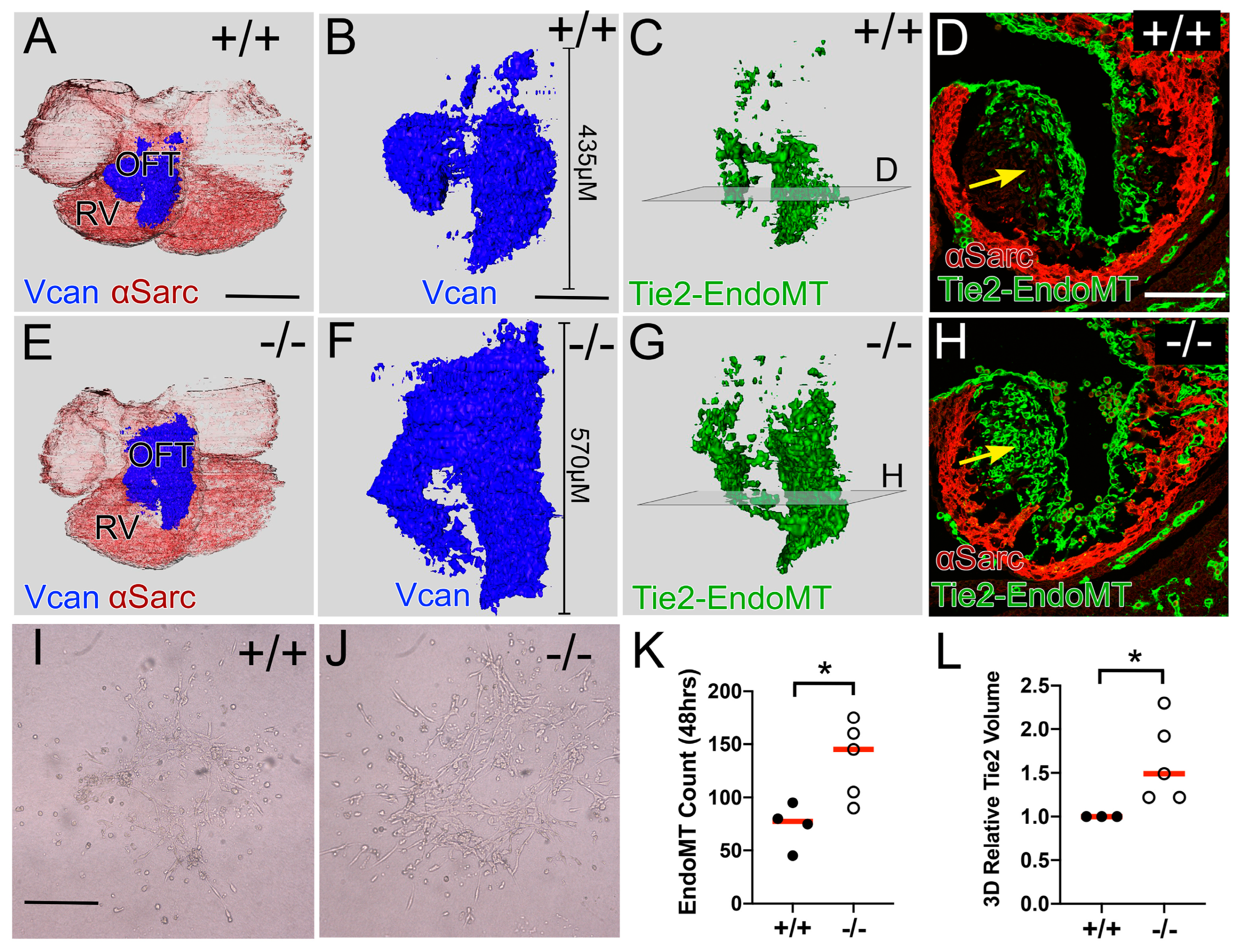 Jcdd 12 00371 g002 Jcdd 12 00371 g002