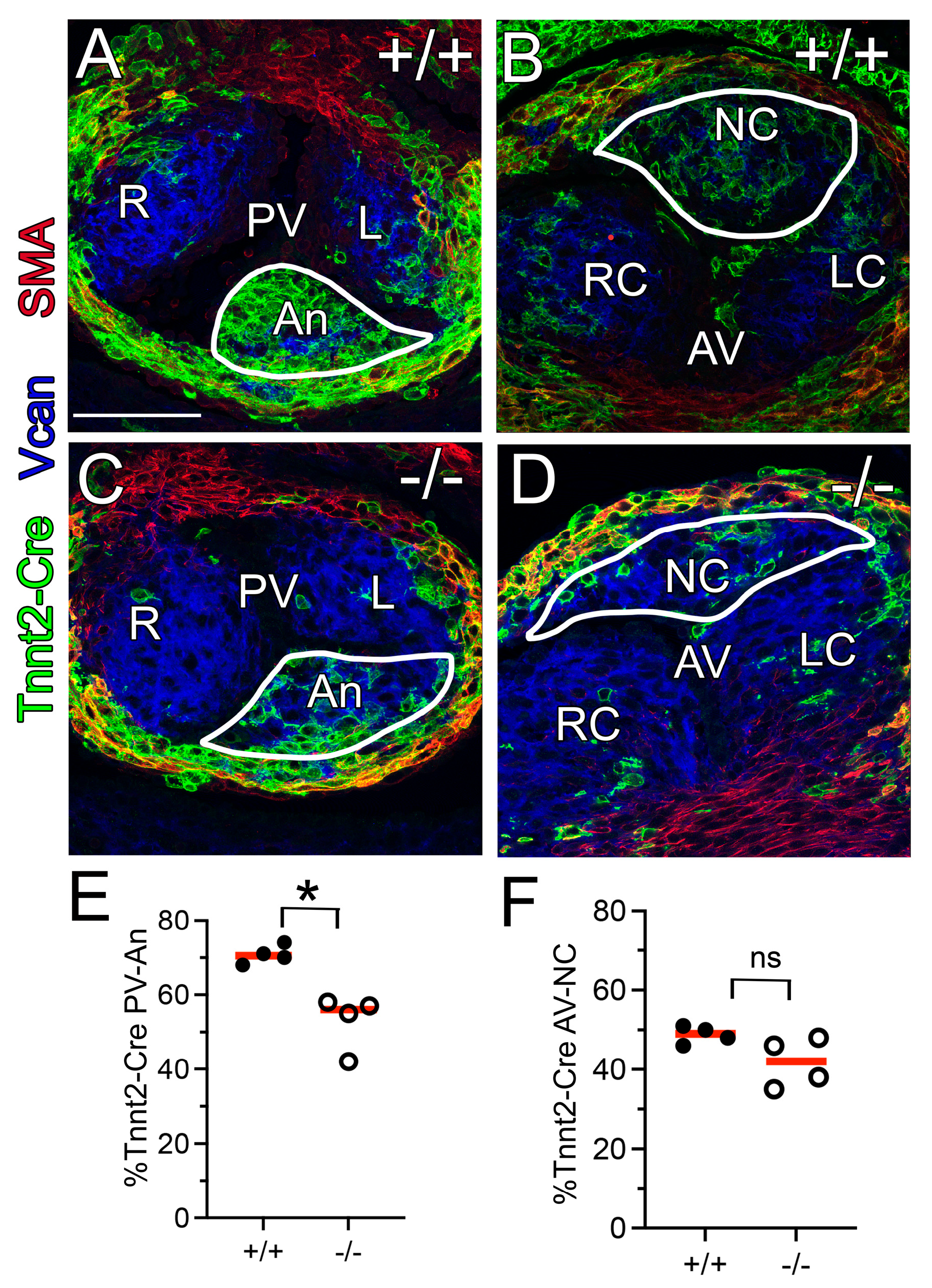 Jcdd 12 00371 g005 Jcdd 12 00371 g005