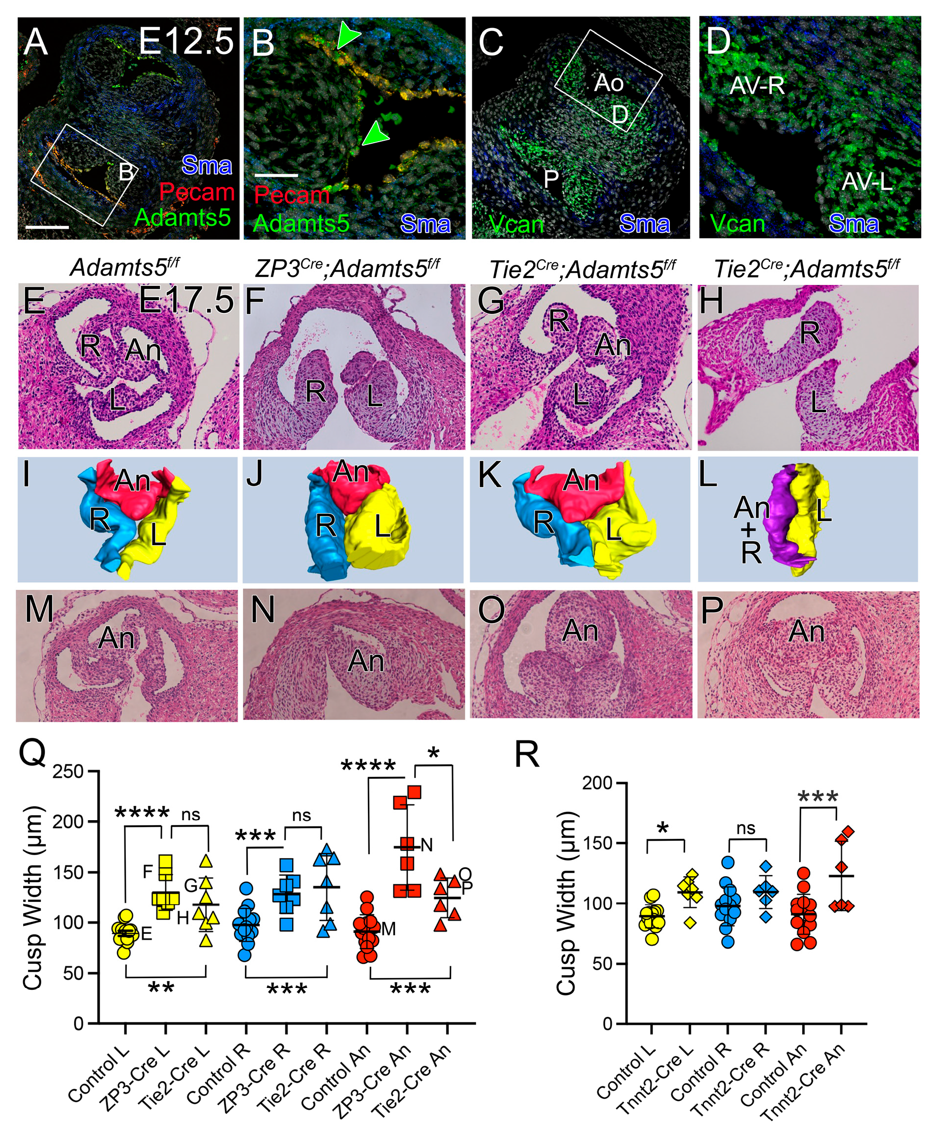 Jcdd 12 00371 g006 Jcdd 12 00371 g006