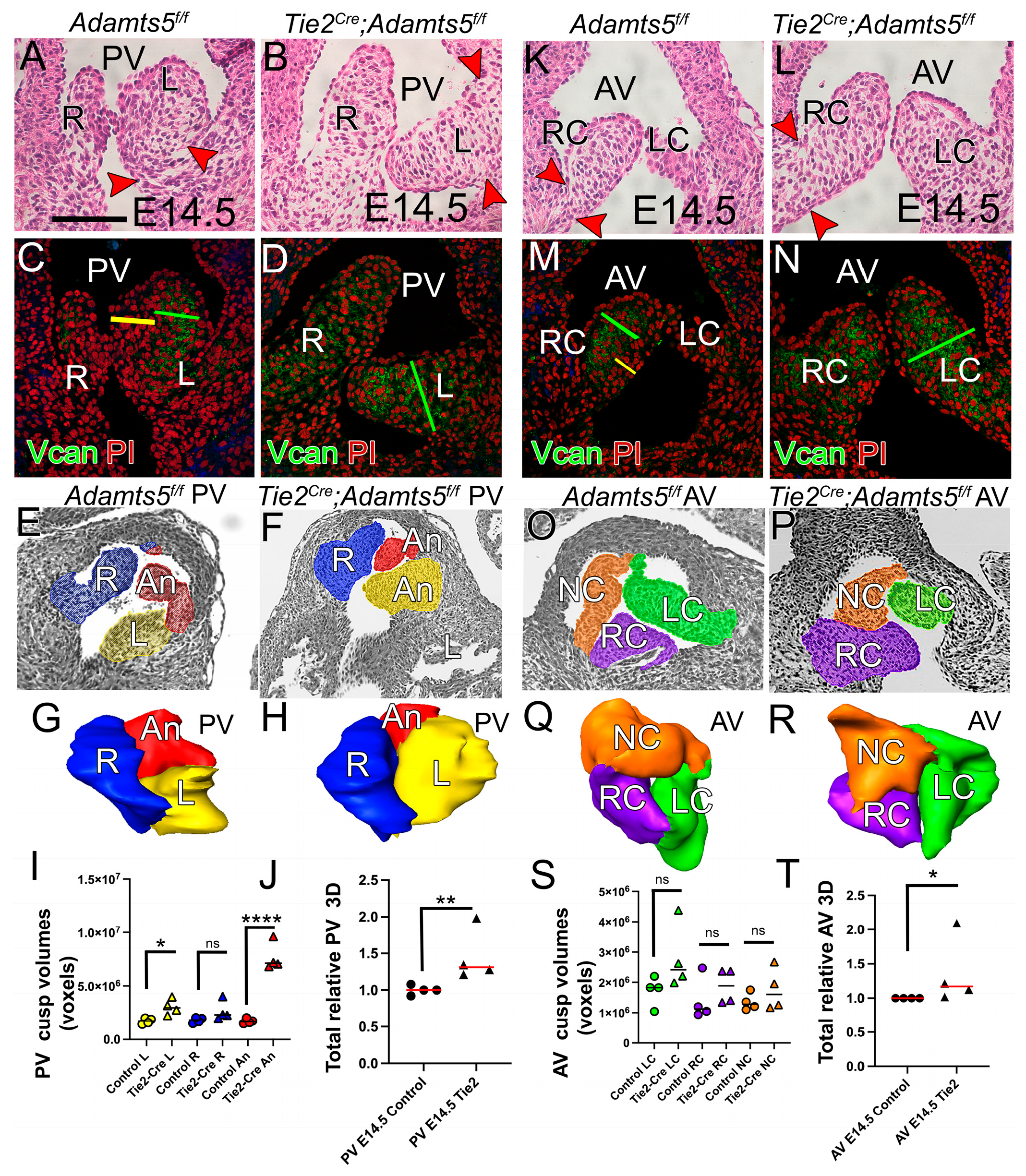 Jcdd 12 00371 g007 Jcdd 12 00371 g007