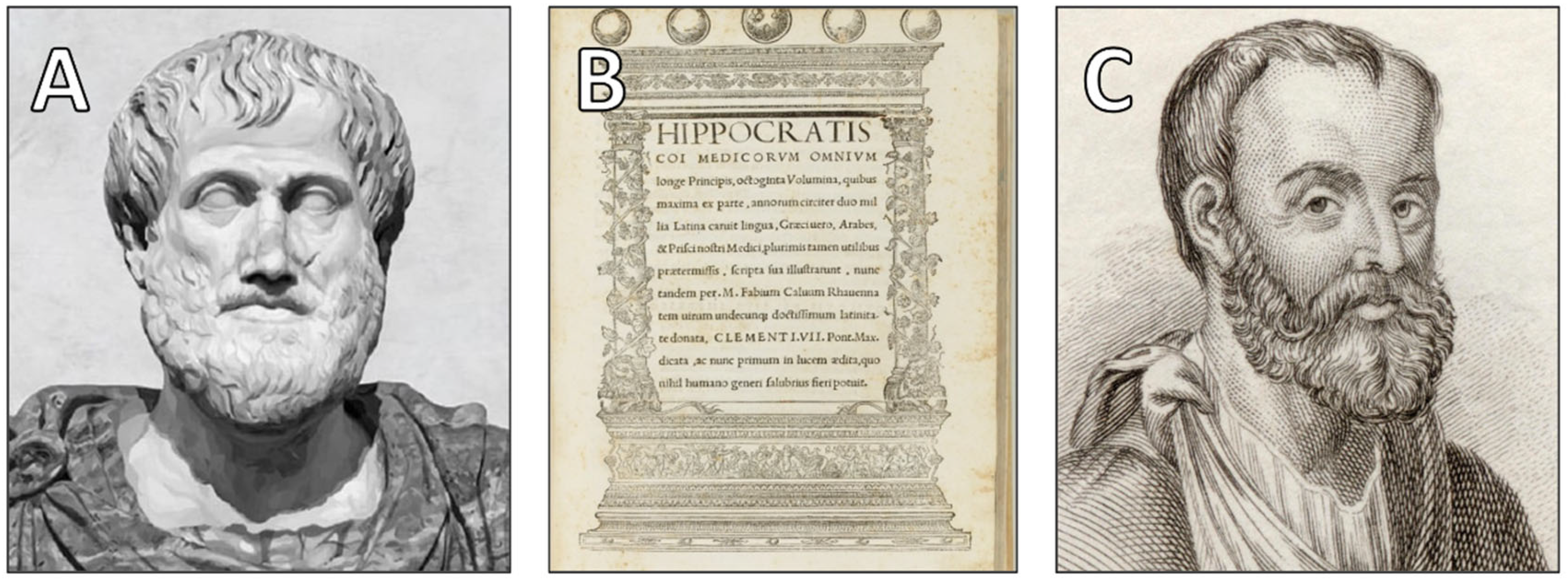 Jcdd 12 00378 g001 Jcdd 12 00378 g001