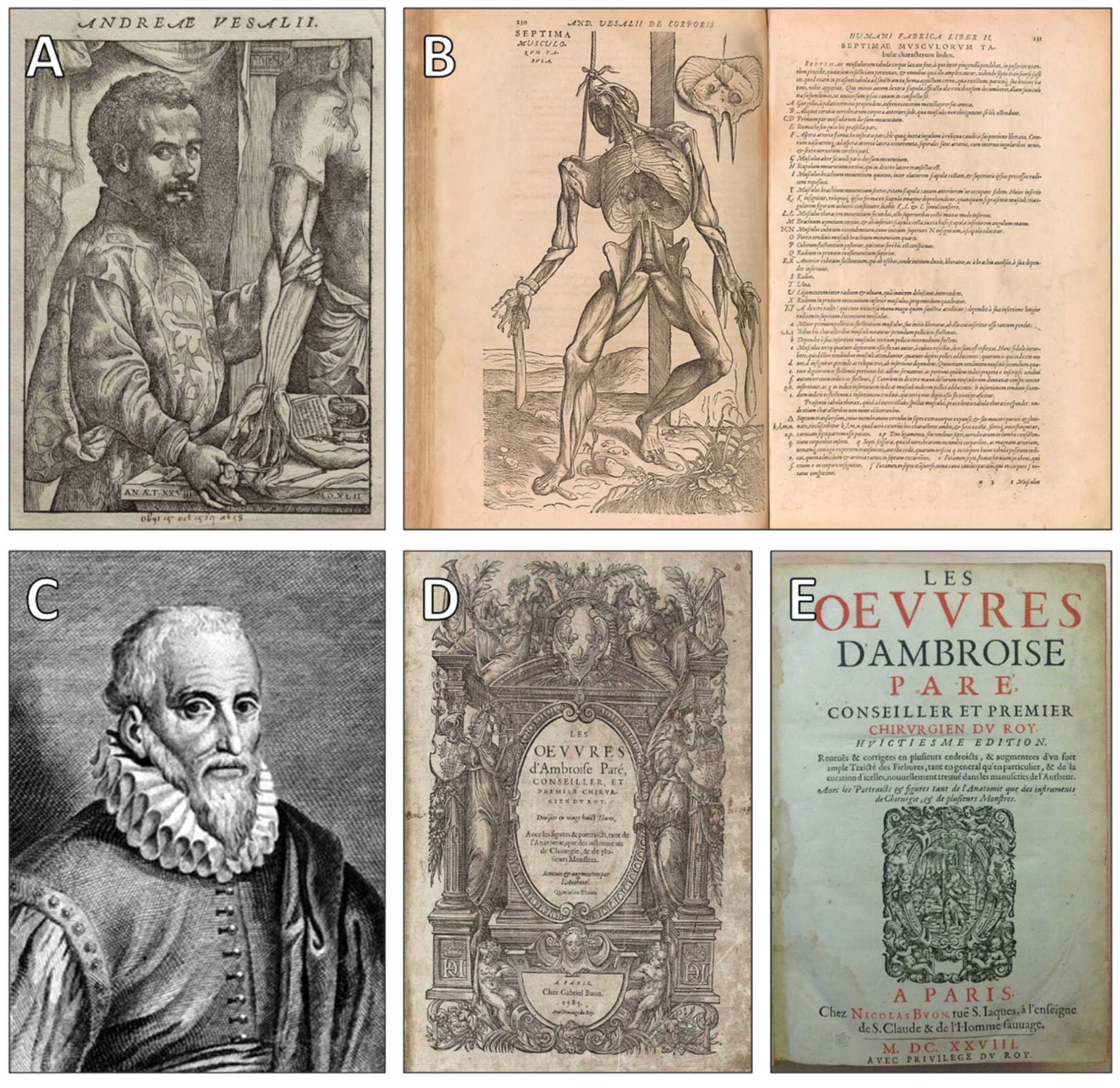 Jcdd 12 00378 g004 Jcdd 12 00378 g004