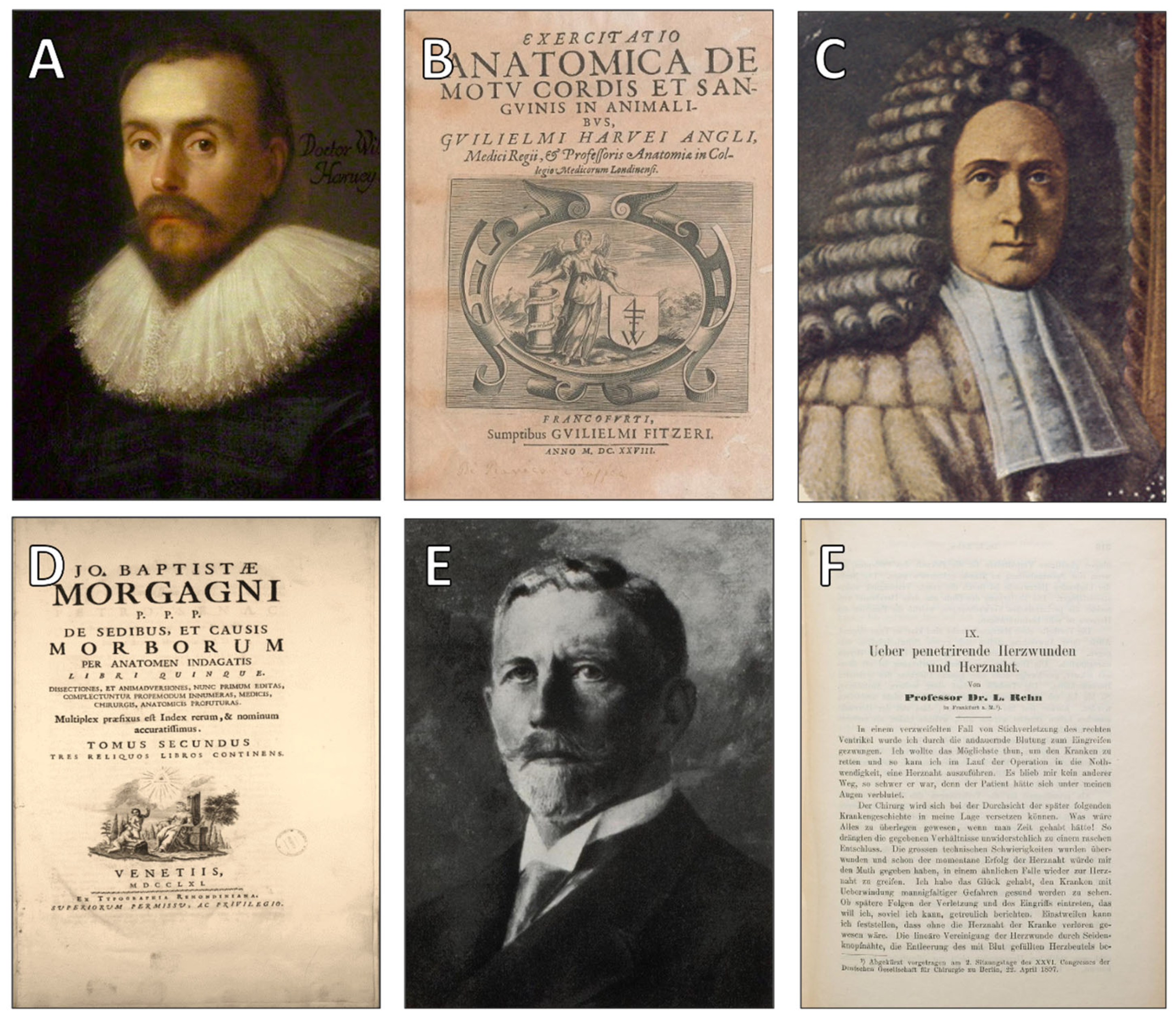 Jcdd 12 00378 g005 Jcdd 12 00378 g005