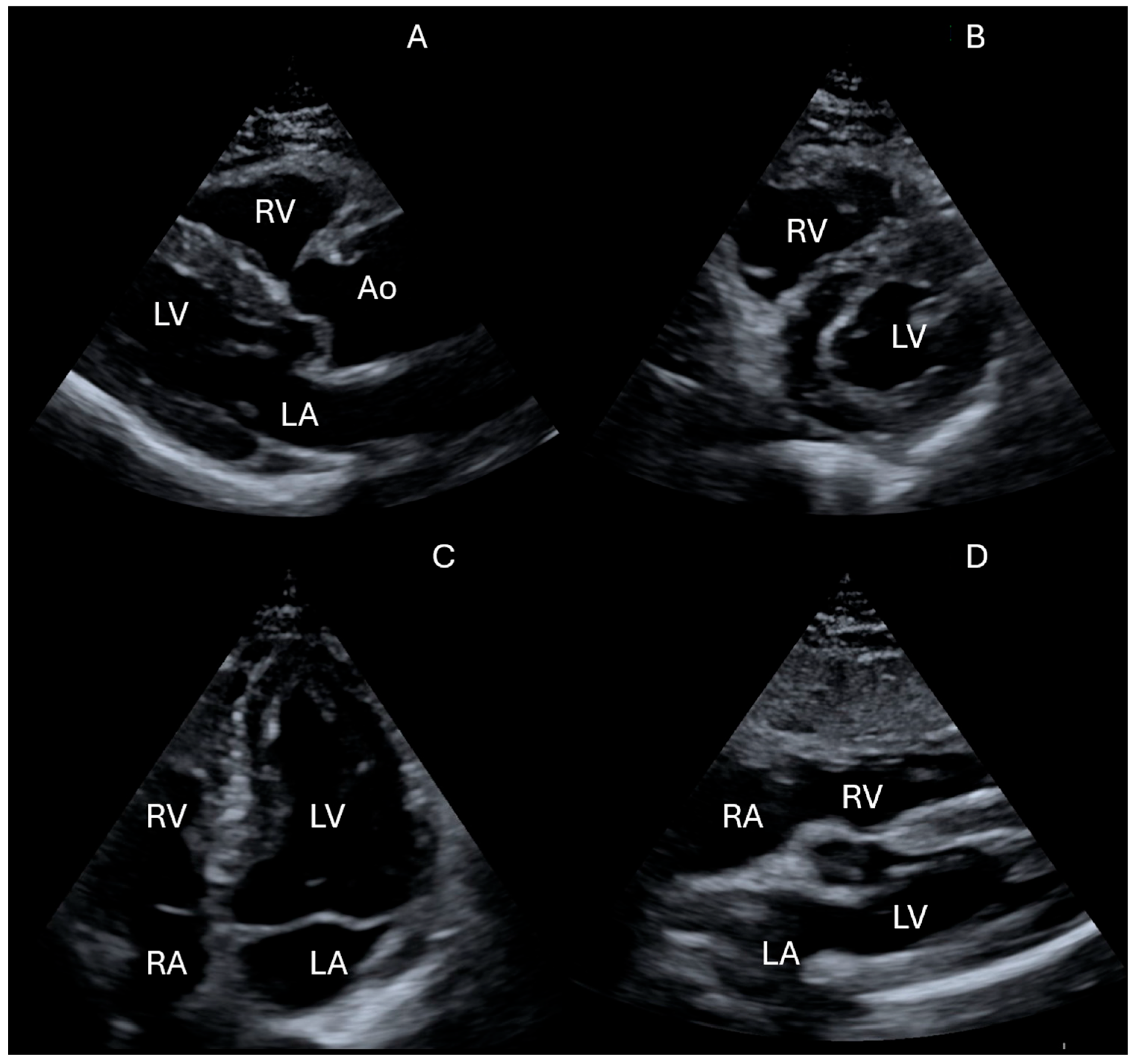 Jcdd 12 00379 g002 Jcdd 12 00379 g002