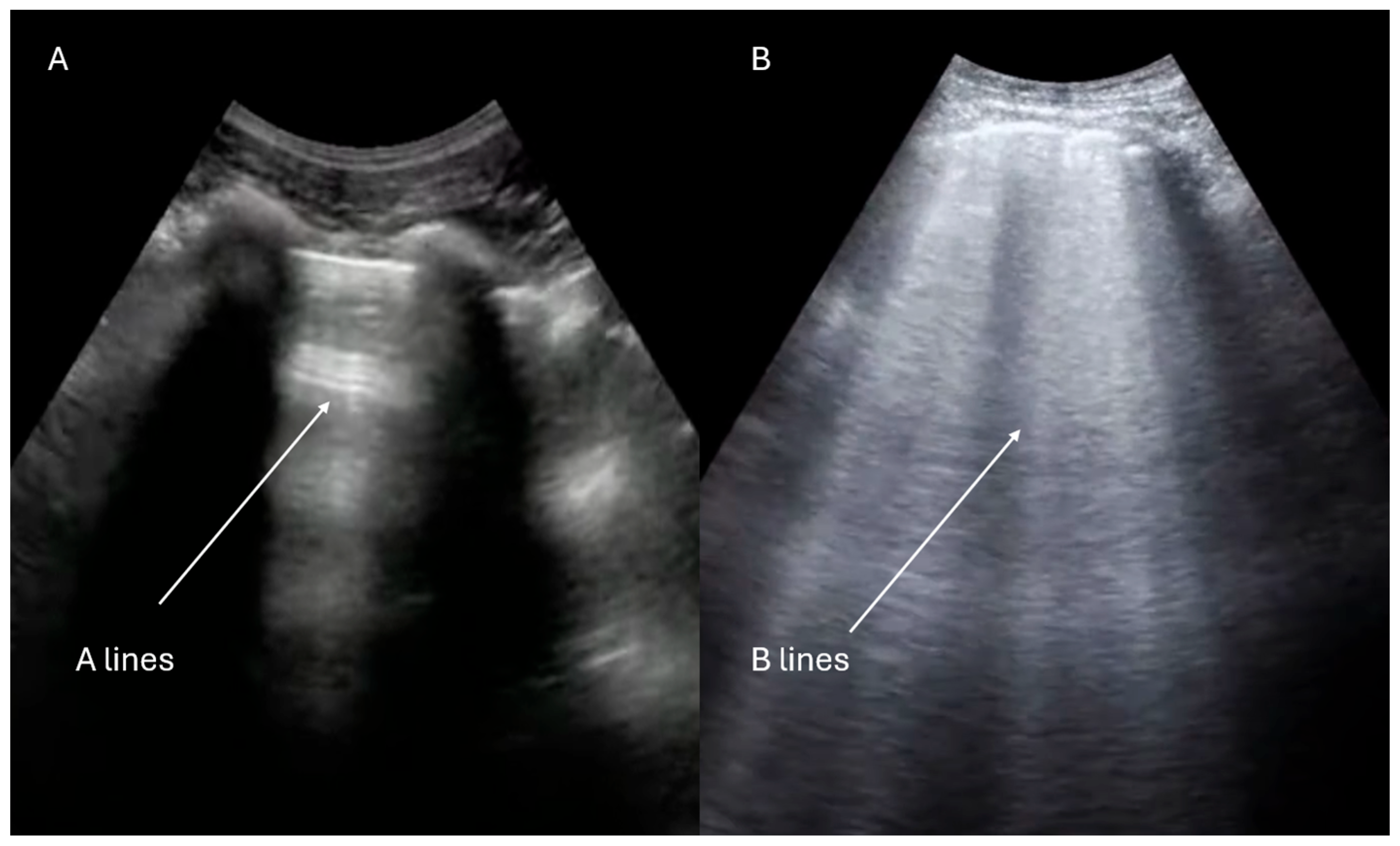 Jcdd 12 00379 g006 Jcdd 12 00379 g006