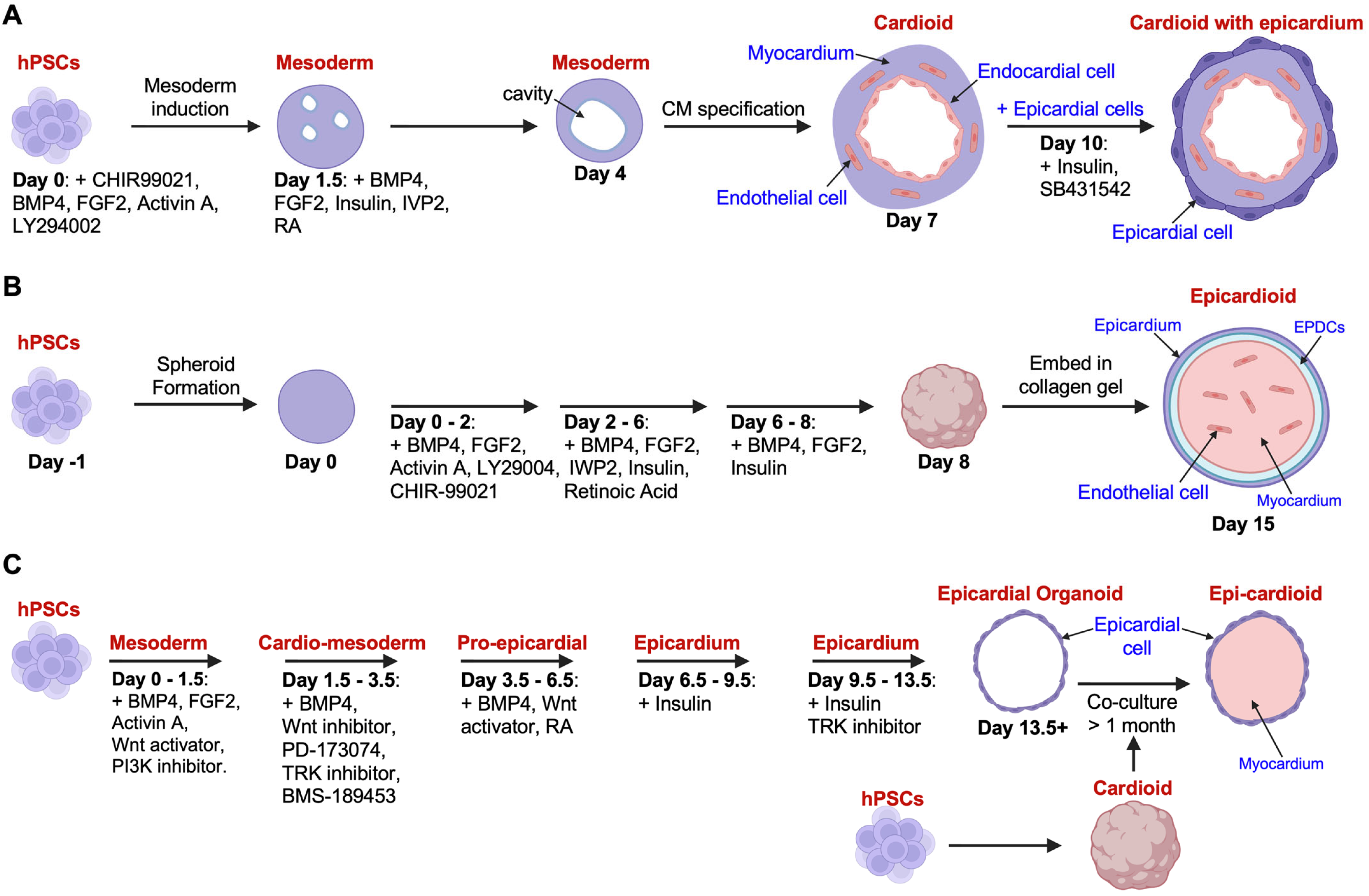 Jcdd 12 00389 g001 Jcdd 12 00389 g001