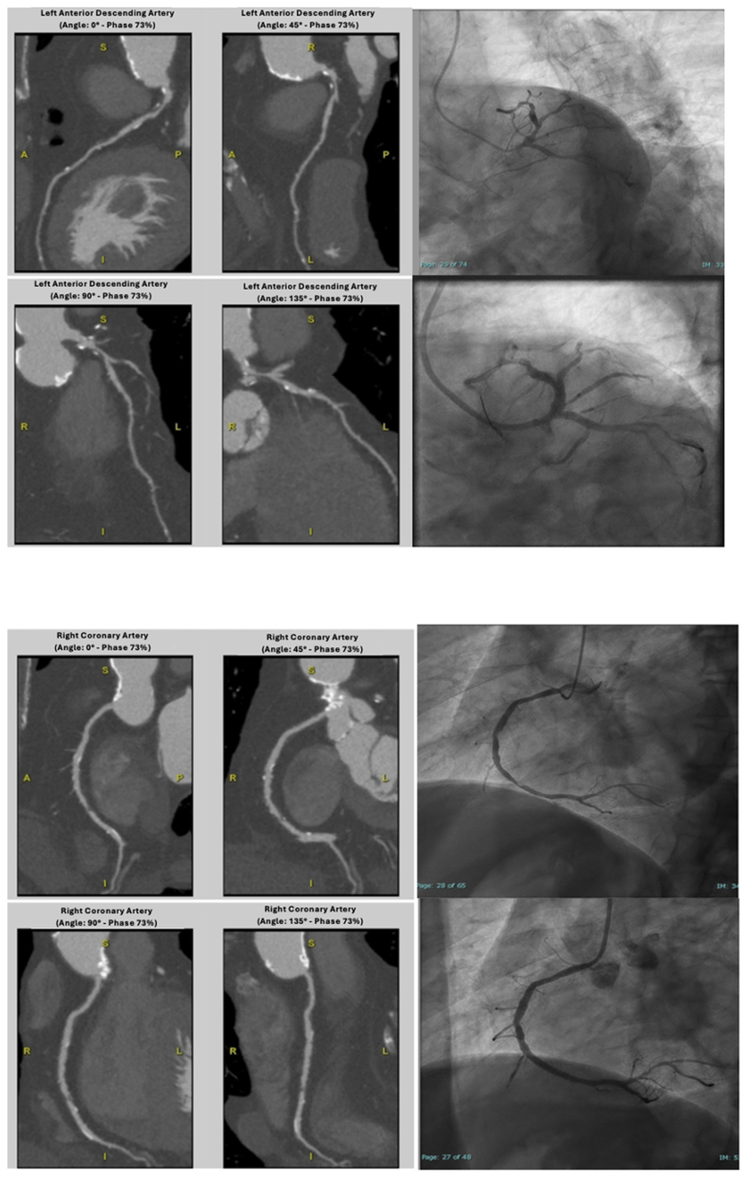 Jcdd 12 00395 g002 Jcdd 12 00395 g002