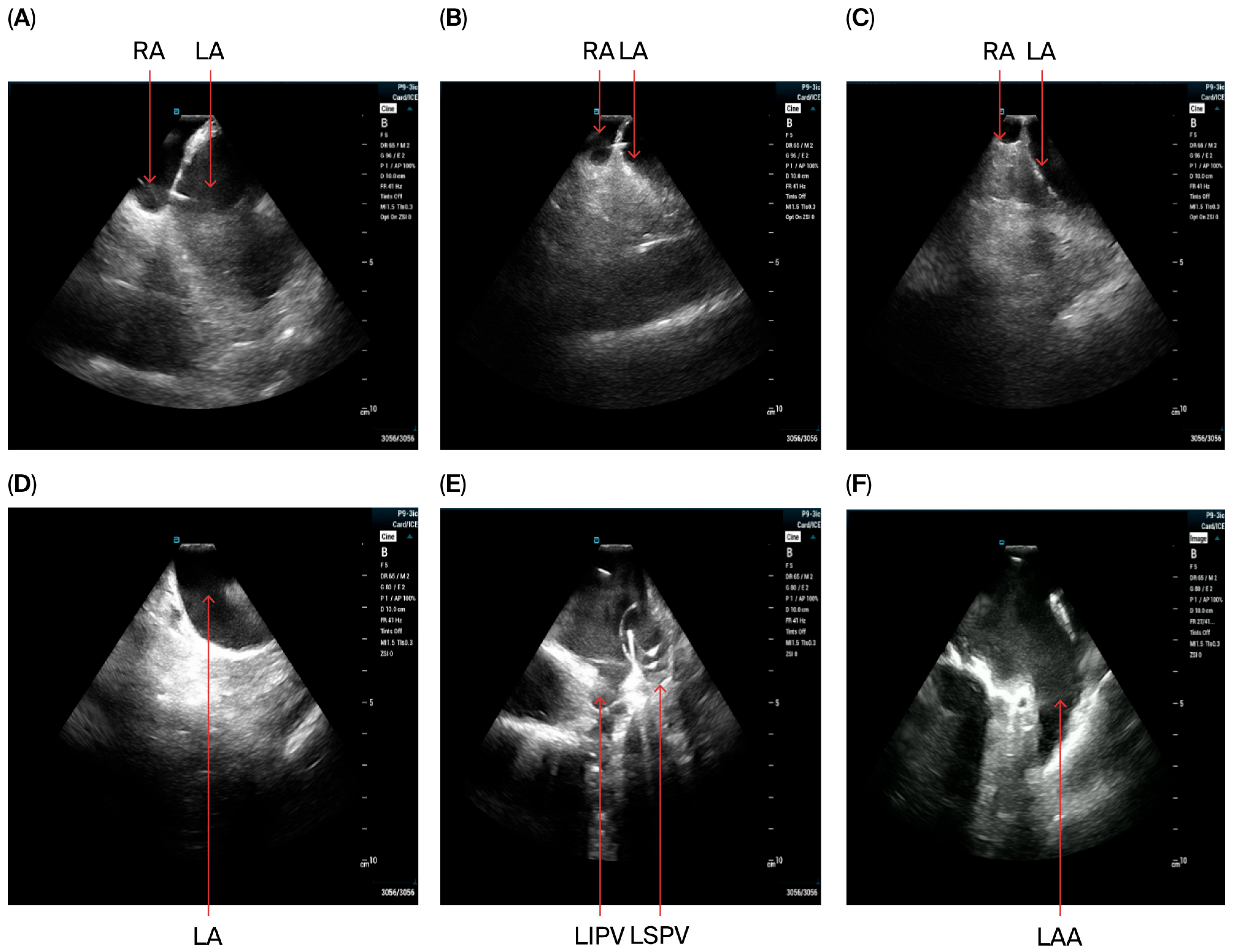 Jcdd 12 00412 g001 Jcdd 12 00412 g001