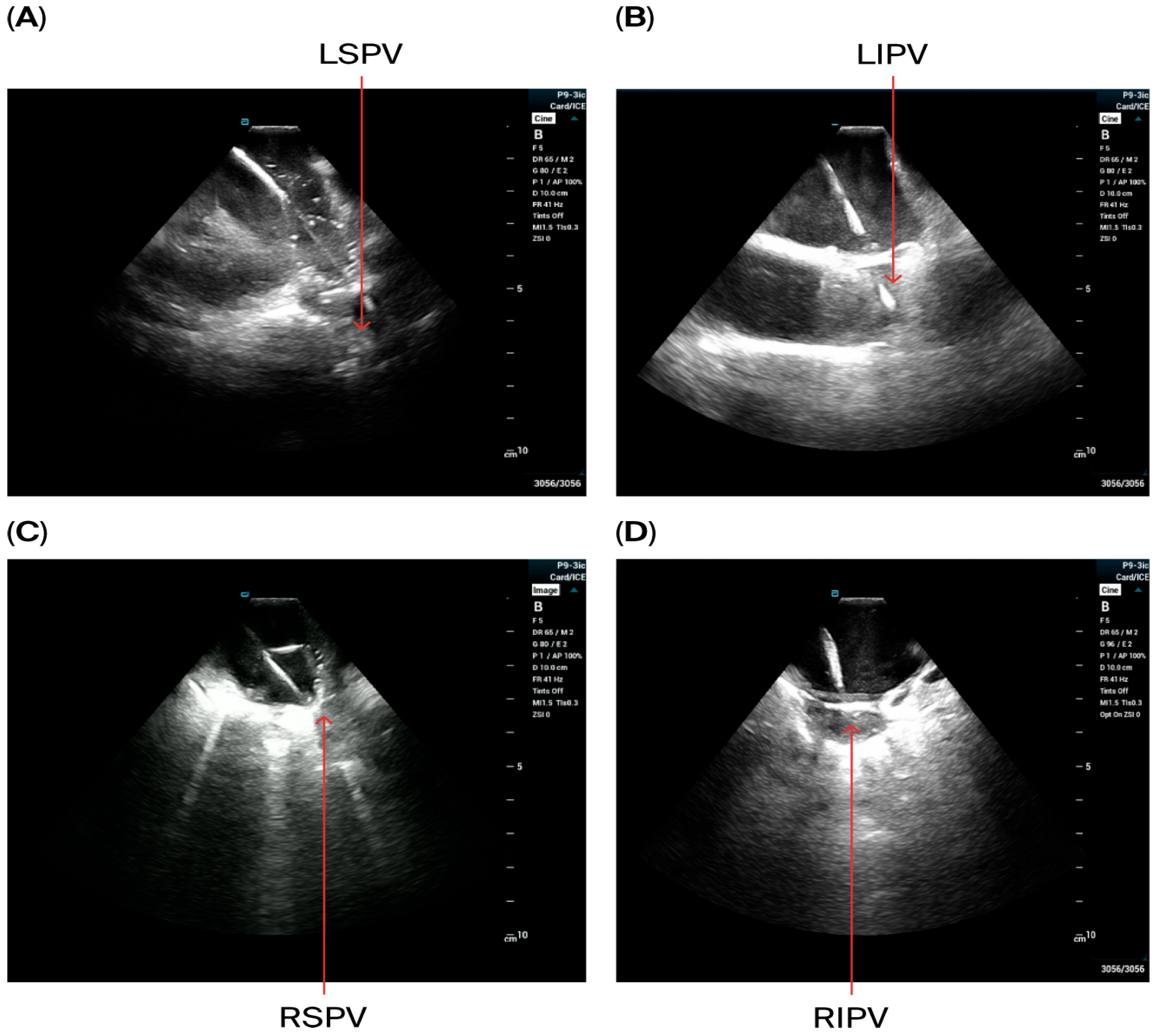 Jcdd 12 00412 g002 Jcdd 12 00412 g002