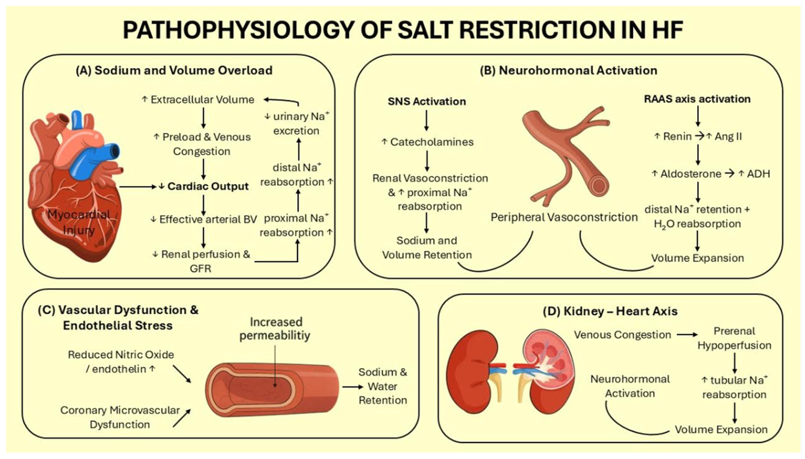 Jcdd 12 00432 g001 Jcdd 12 00432 g001