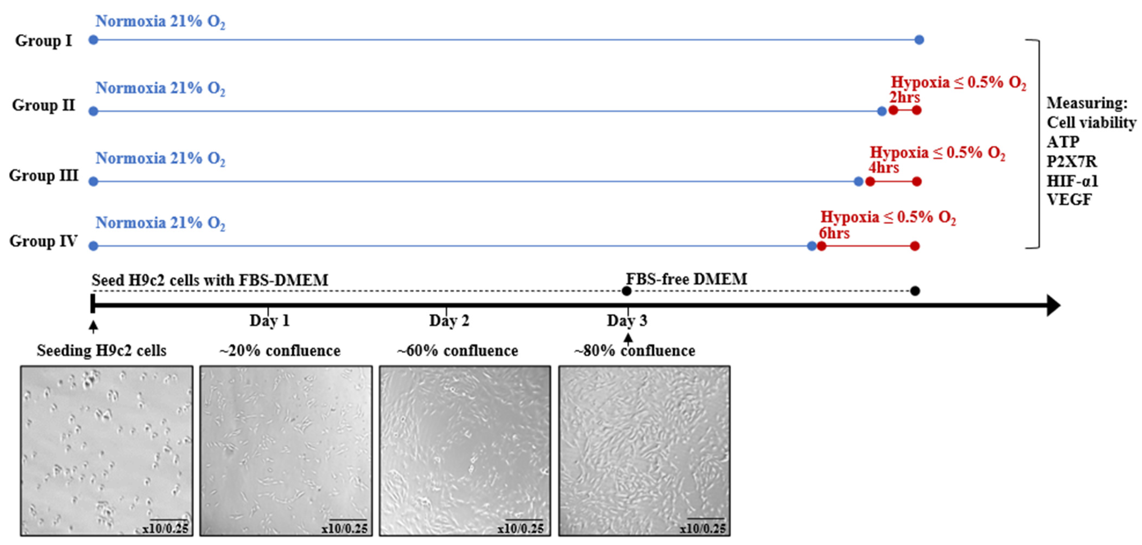 Jcdd 12 00438 g001 Jcdd 12 00438 g001