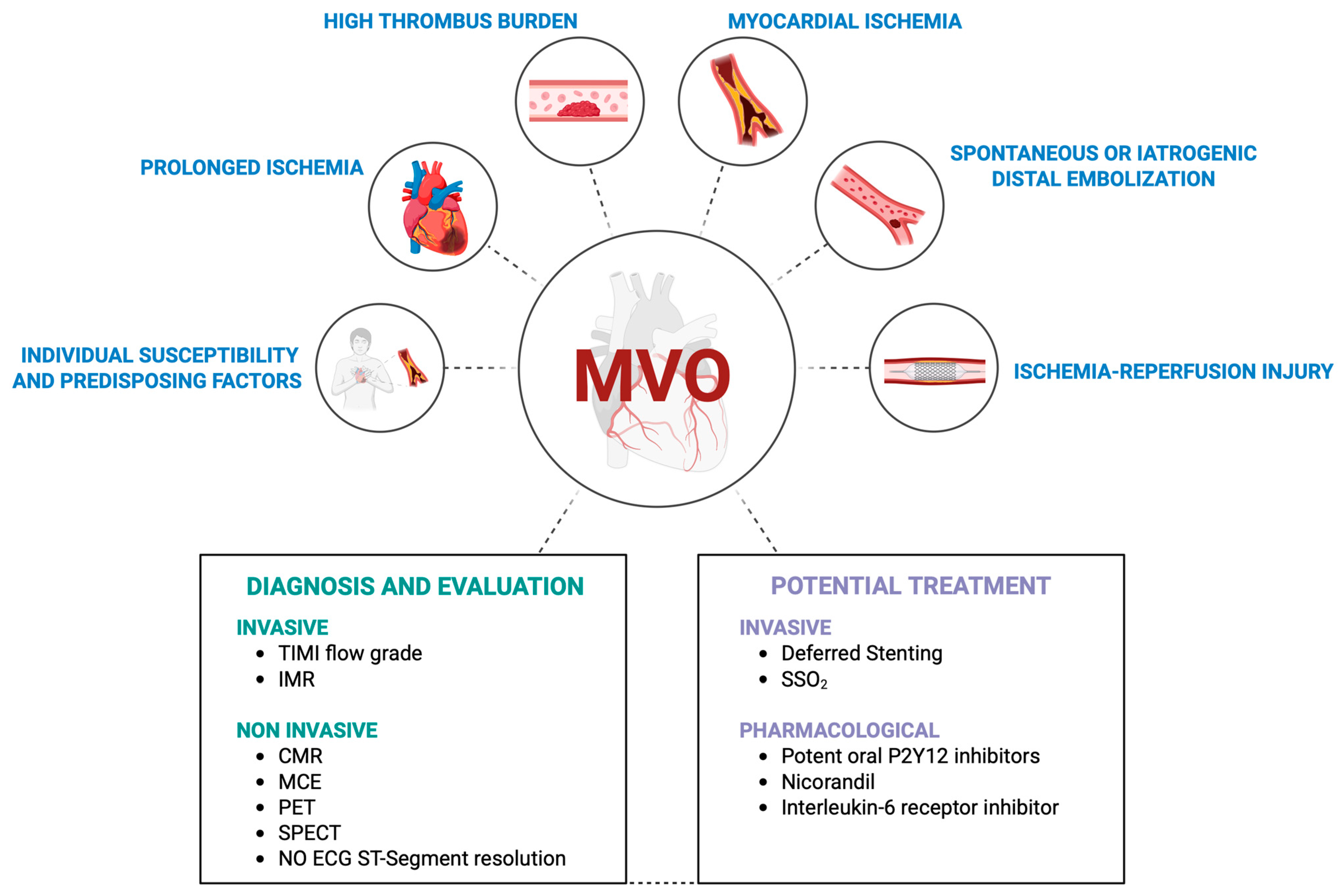Jcdd 12 00440 g001 Jcdd 12 00440 g001