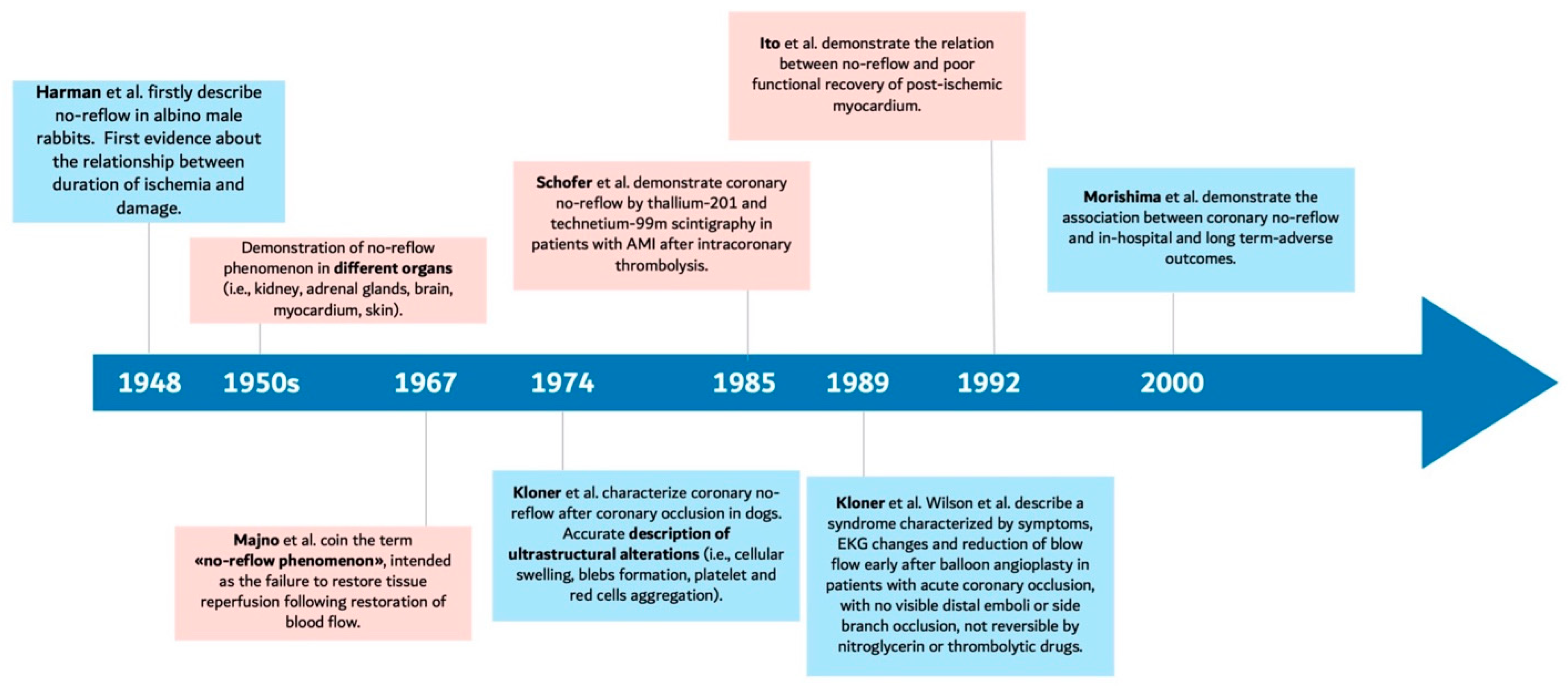 Jcdd 12 00440 g002 Jcdd 12 00440 g002
