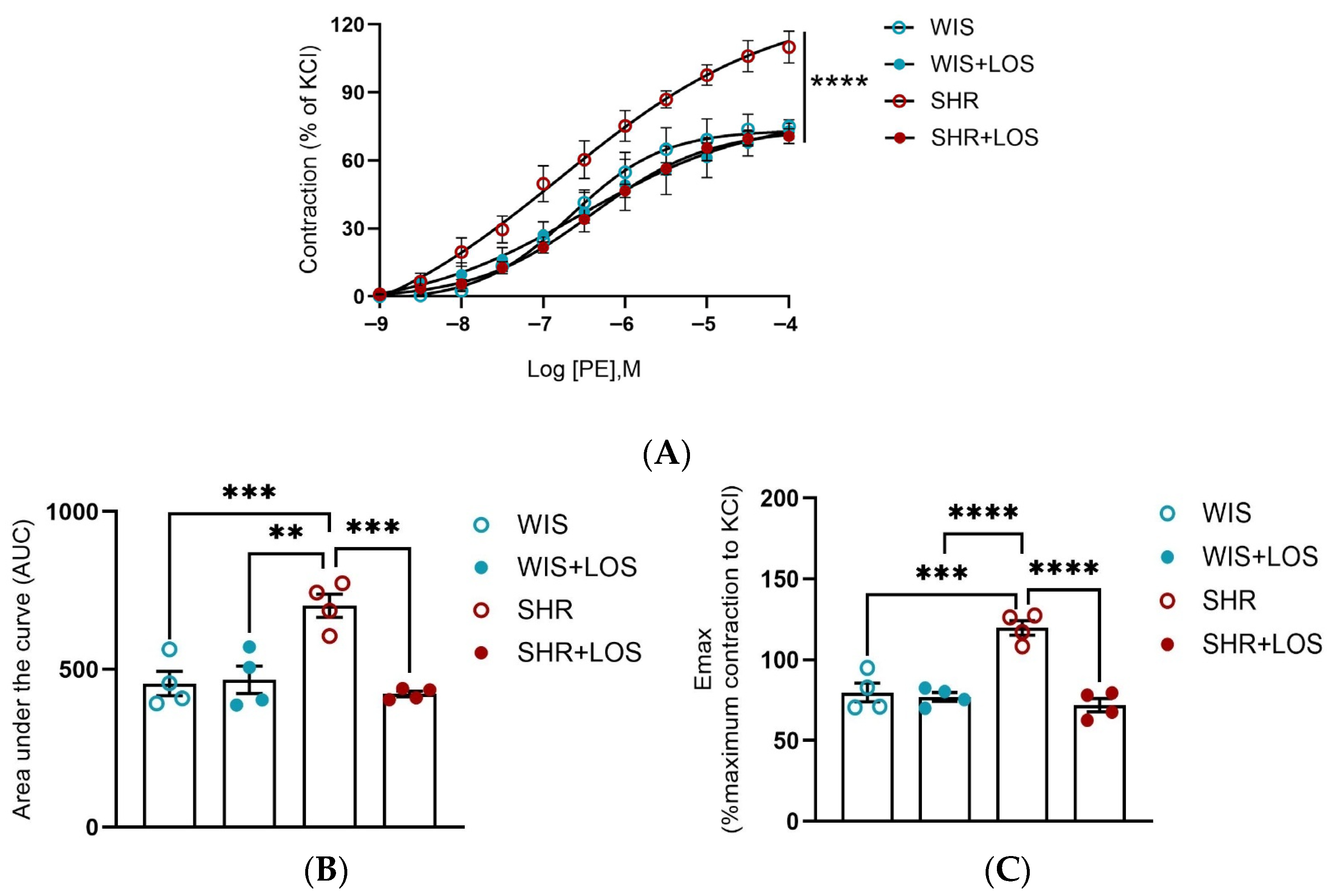 Jcdd 12 00441 g002 Jcdd 12 00441 g002