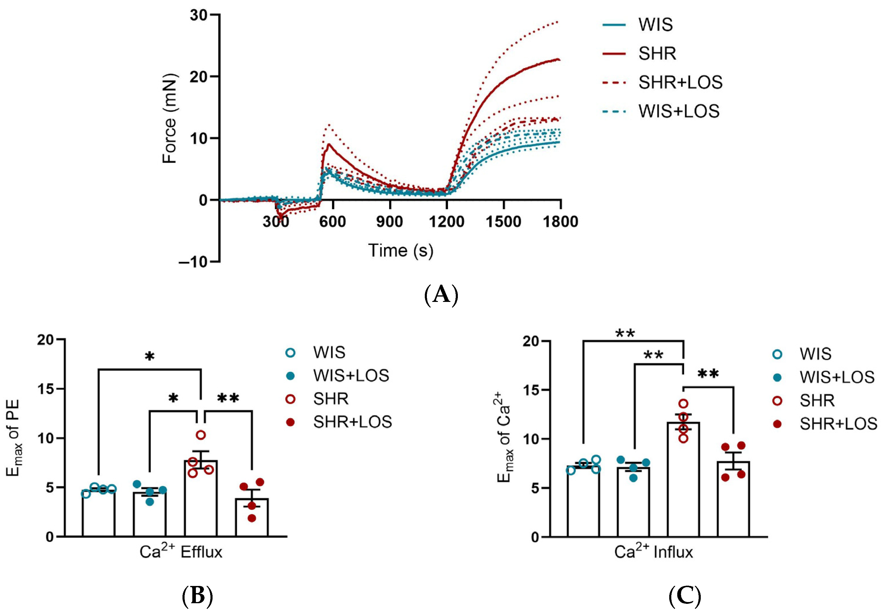 Jcdd 12 00441 g003 Jcdd 12 00441 g003
