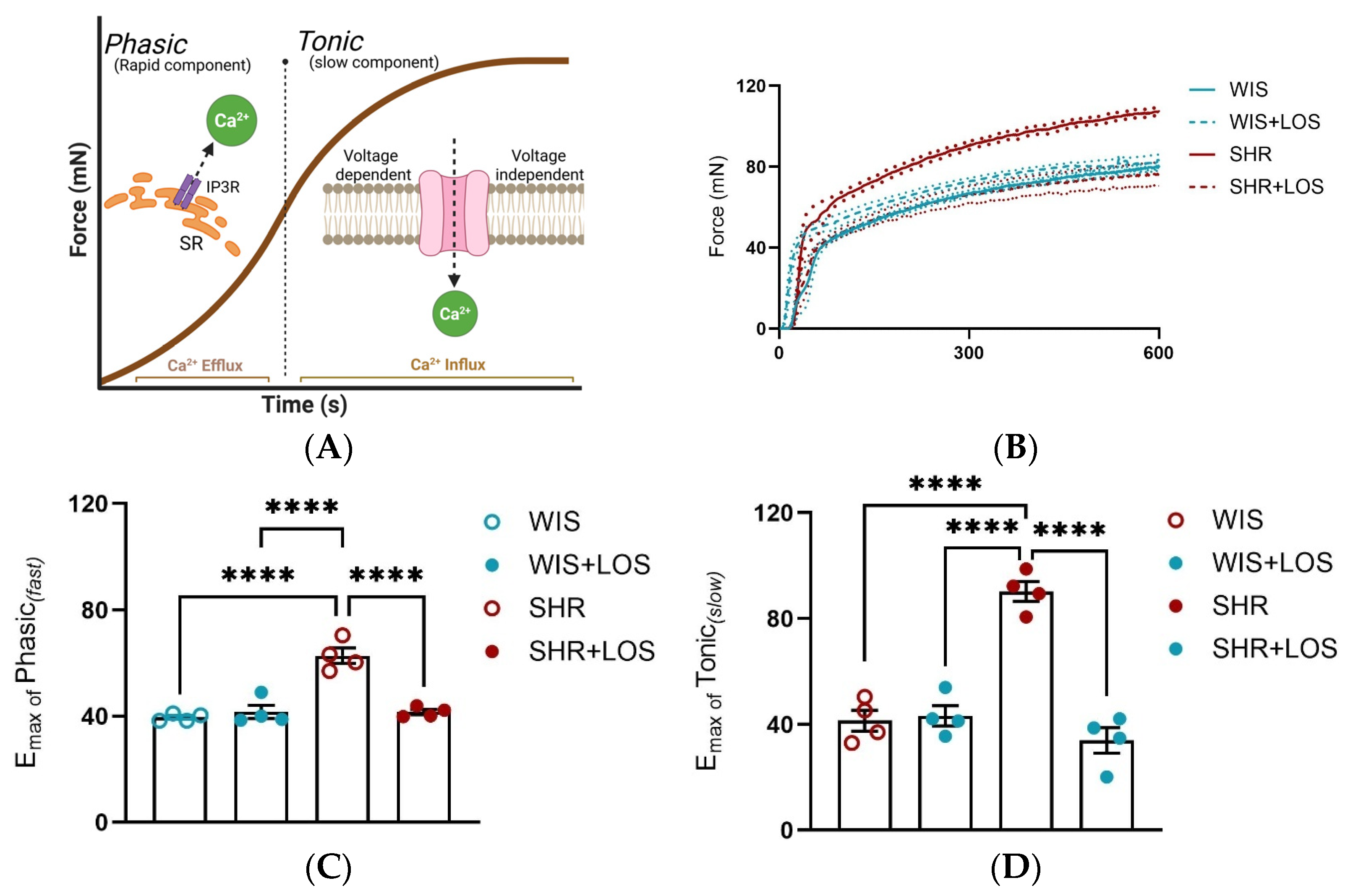 Jcdd 12 00441 g004 Jcdd 12 00441 g004
