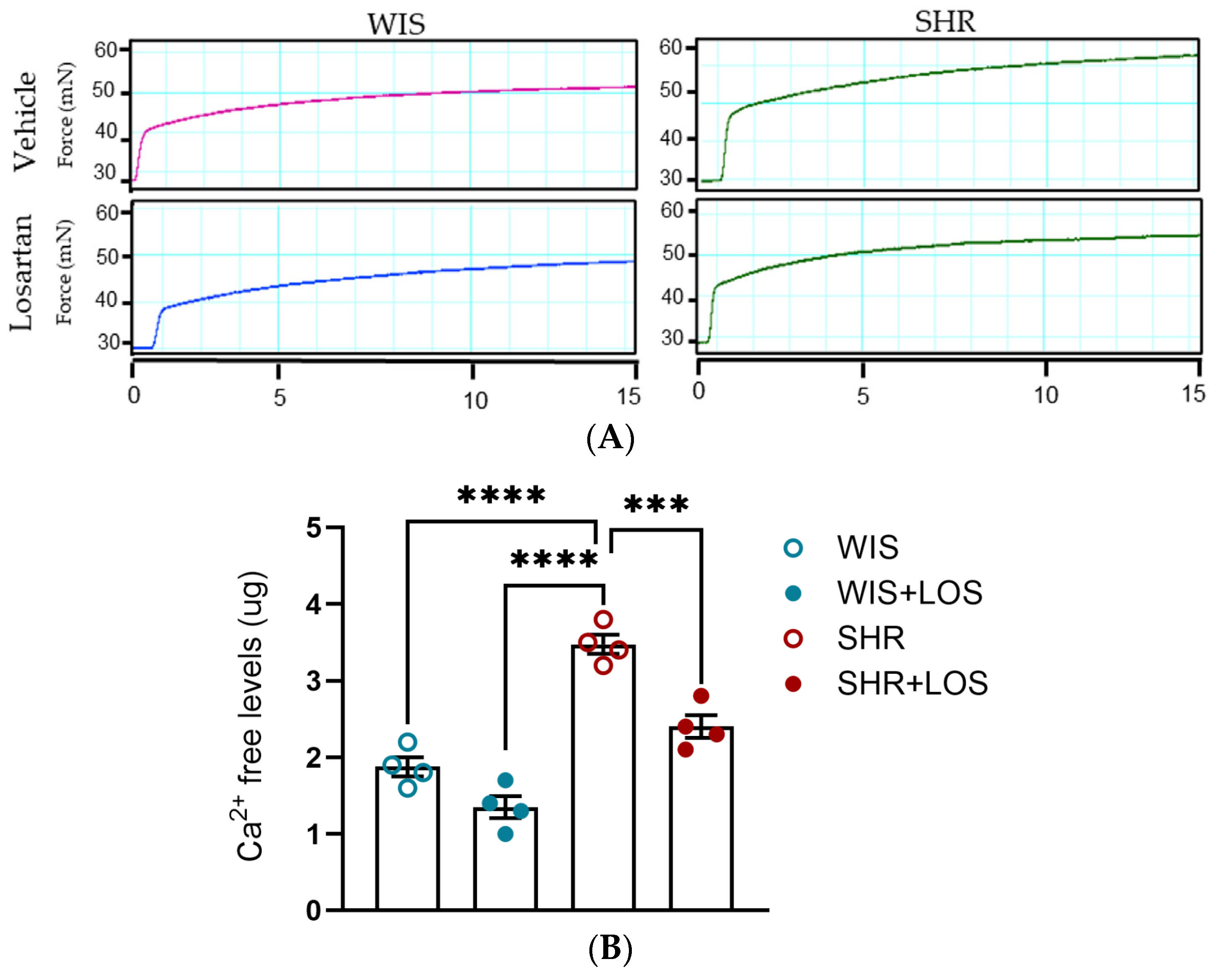 Jcdd 12 00441 g005 Jcdd 12 00441 g005
