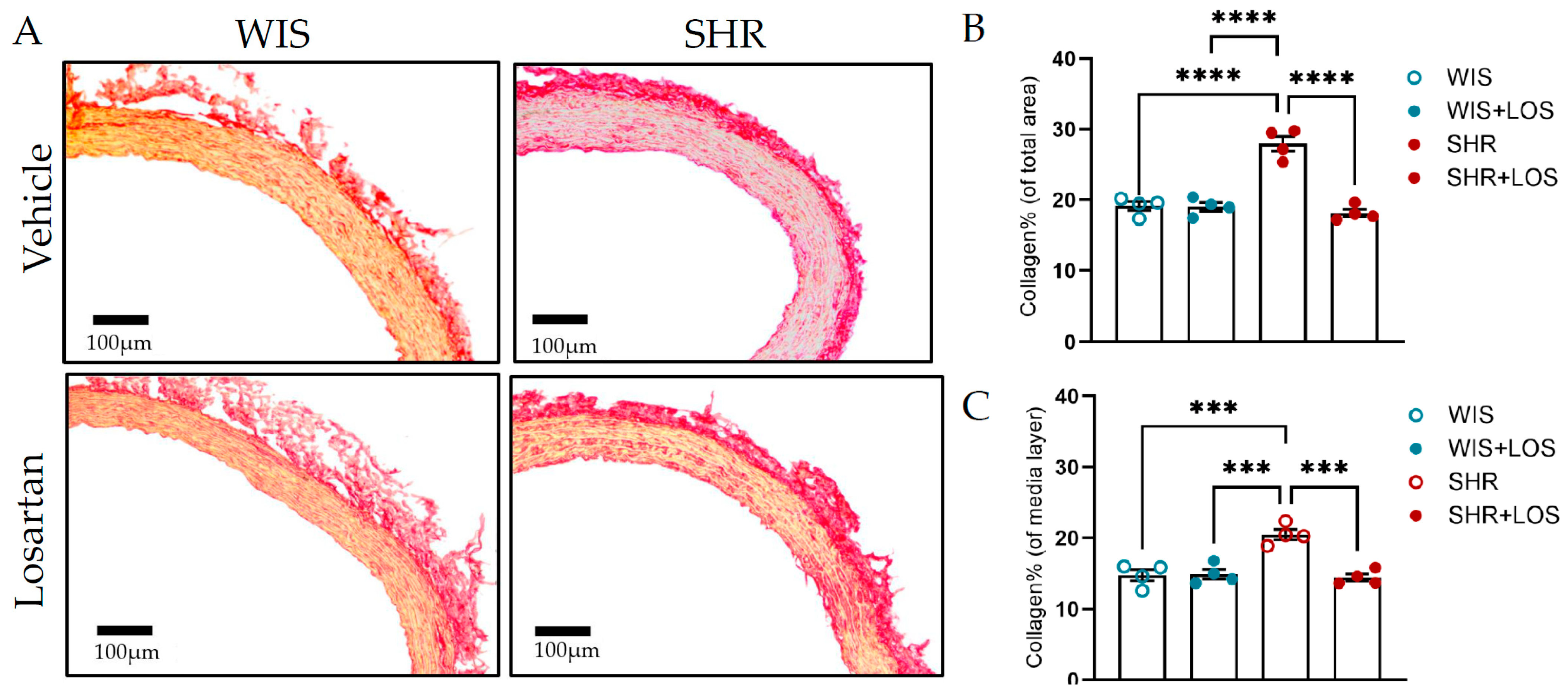 Jcdd 12 00441 g008a Jcdd 12 00441 g008a