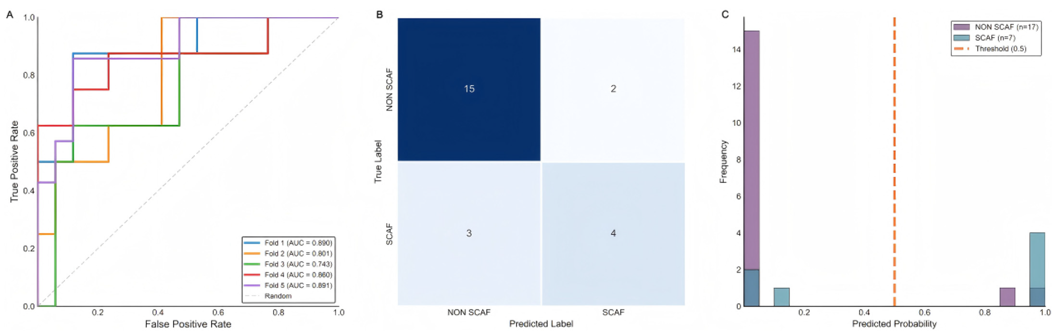 Jcdd 13 00018 g004 Jcdd 13 00018 g004