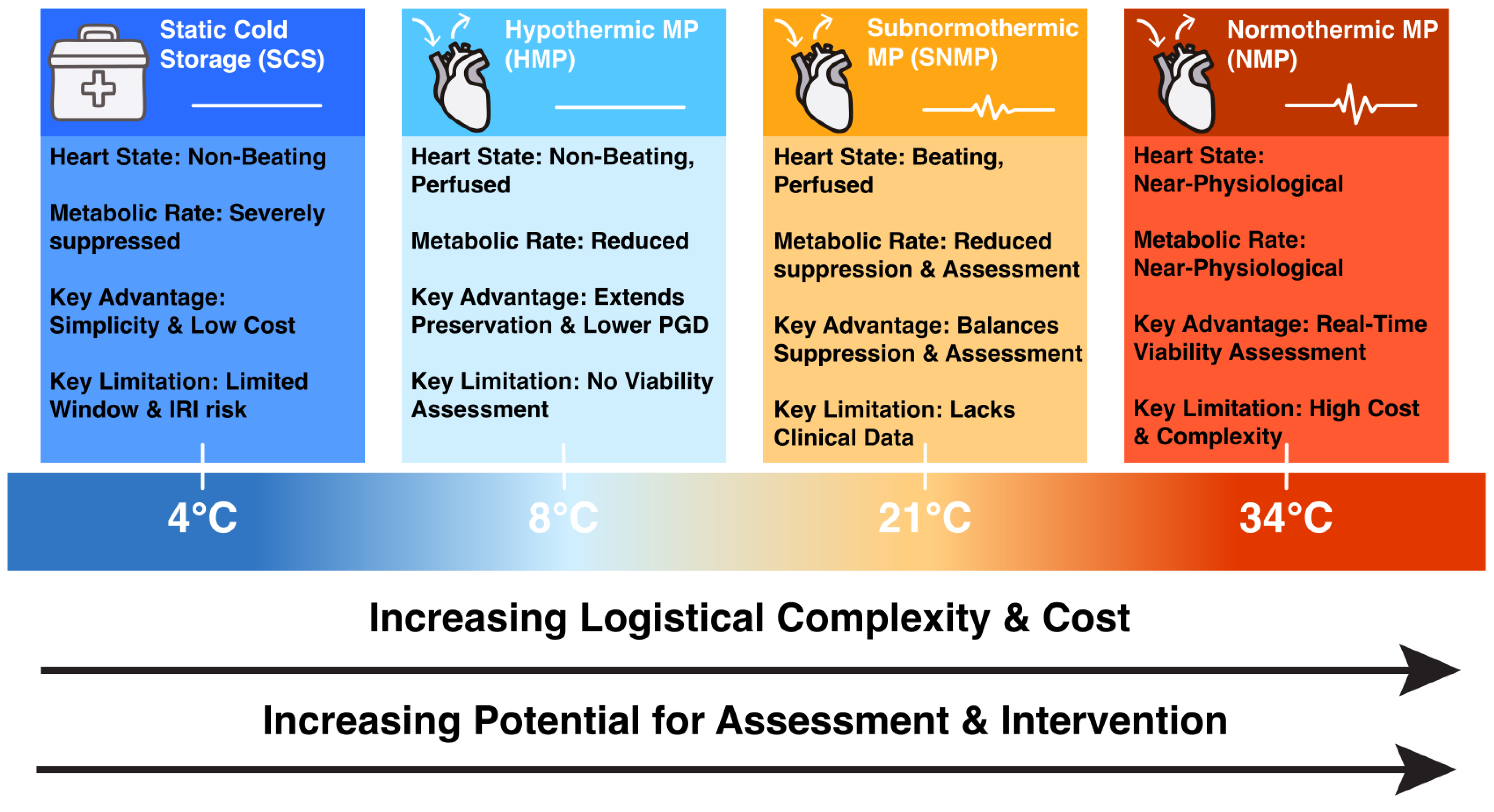 Jcdd 13 00025 g001 Jcdd 13 00025 g001