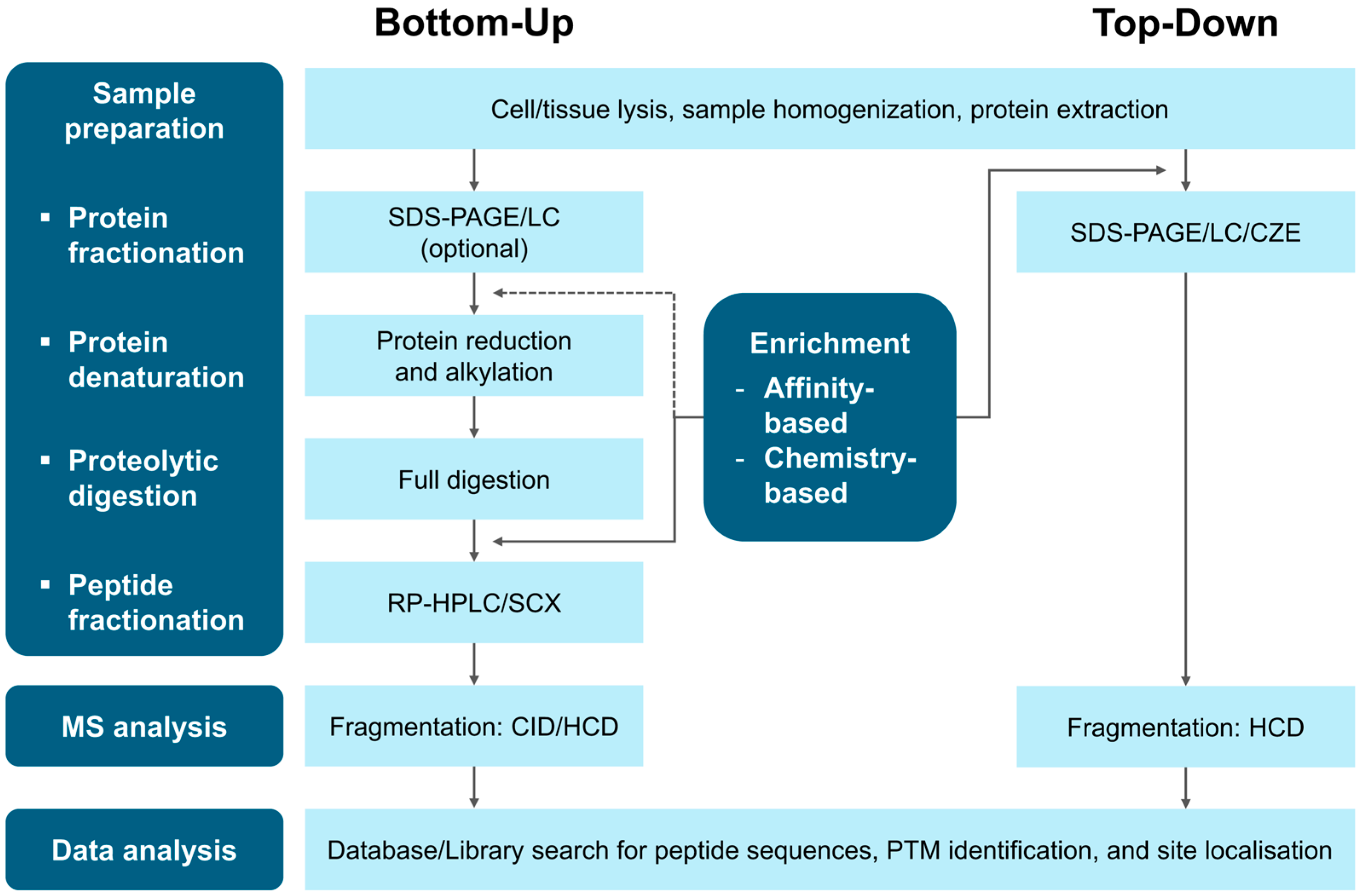 Jcdd 13 00026 g002 Jcdd 13 00026 g002