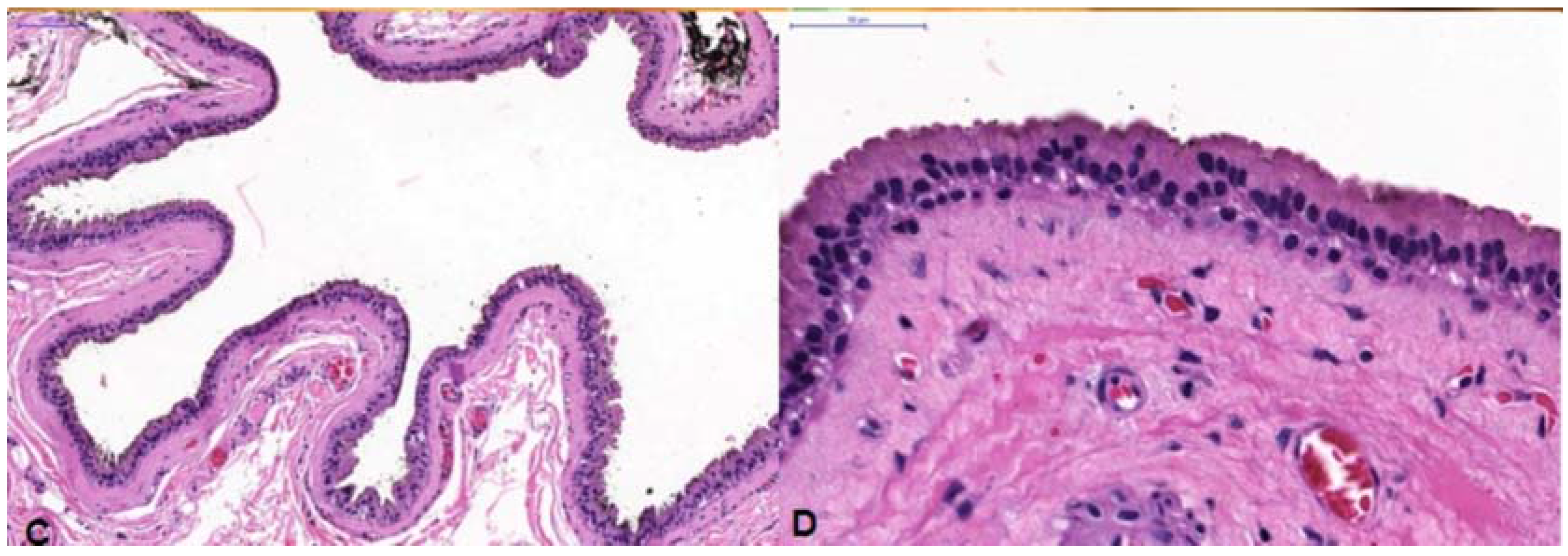 Jcm 04 00150 g001b 1024