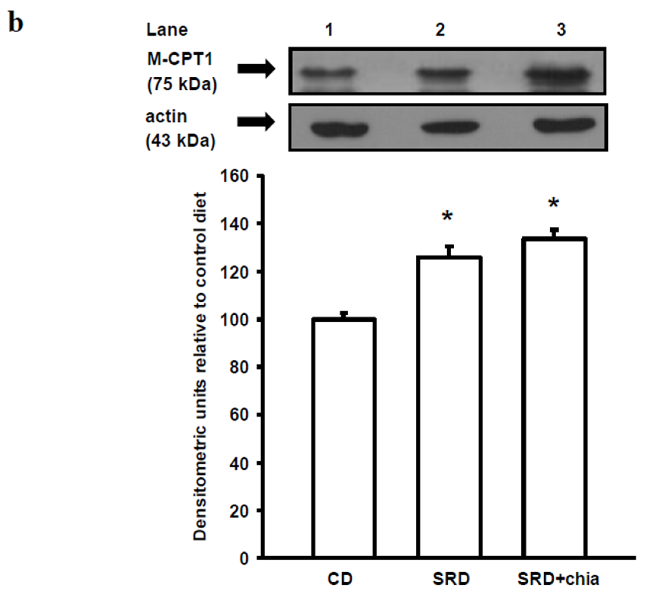 Jcm 05 00018 g003b 1024