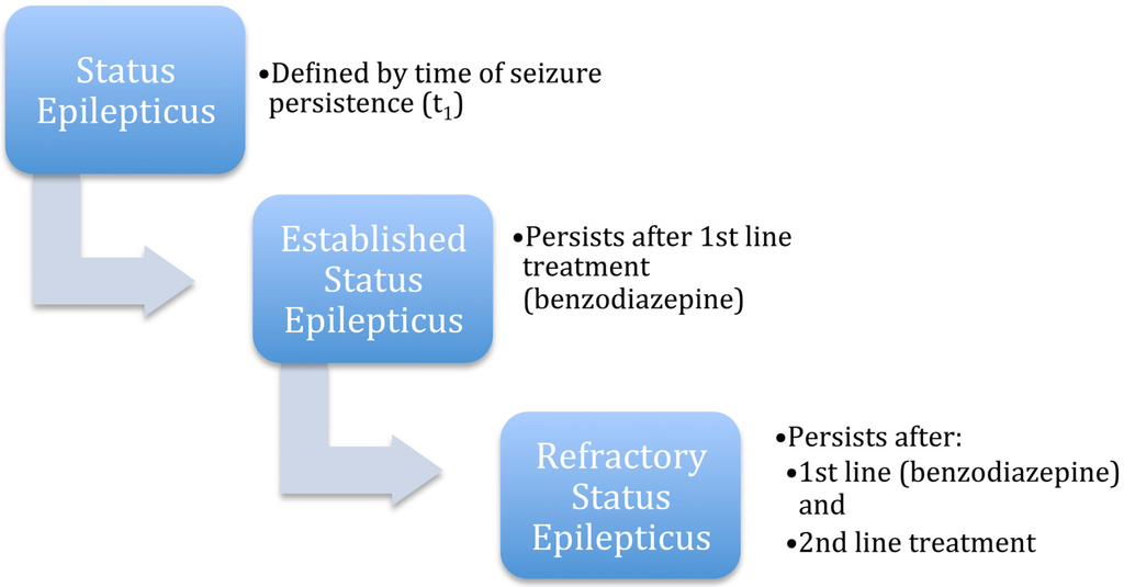 JCM Free FullText Treatment of Established Status Epilepticus