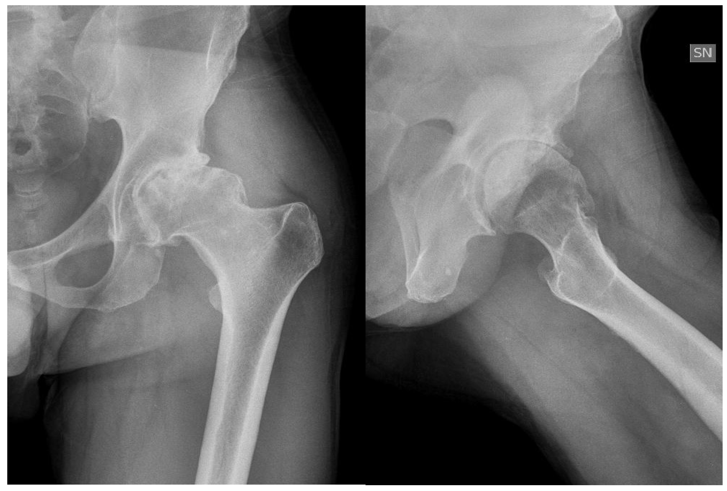 Jcm 06 00044 g001 550