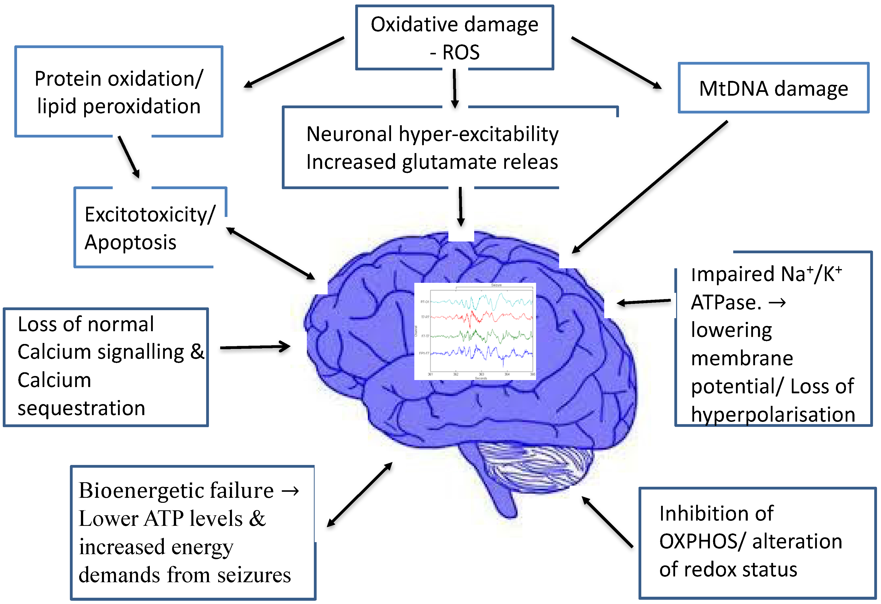 jcm-free-full-text-use-of-the-ketogenic-diet-to-treat-intractable