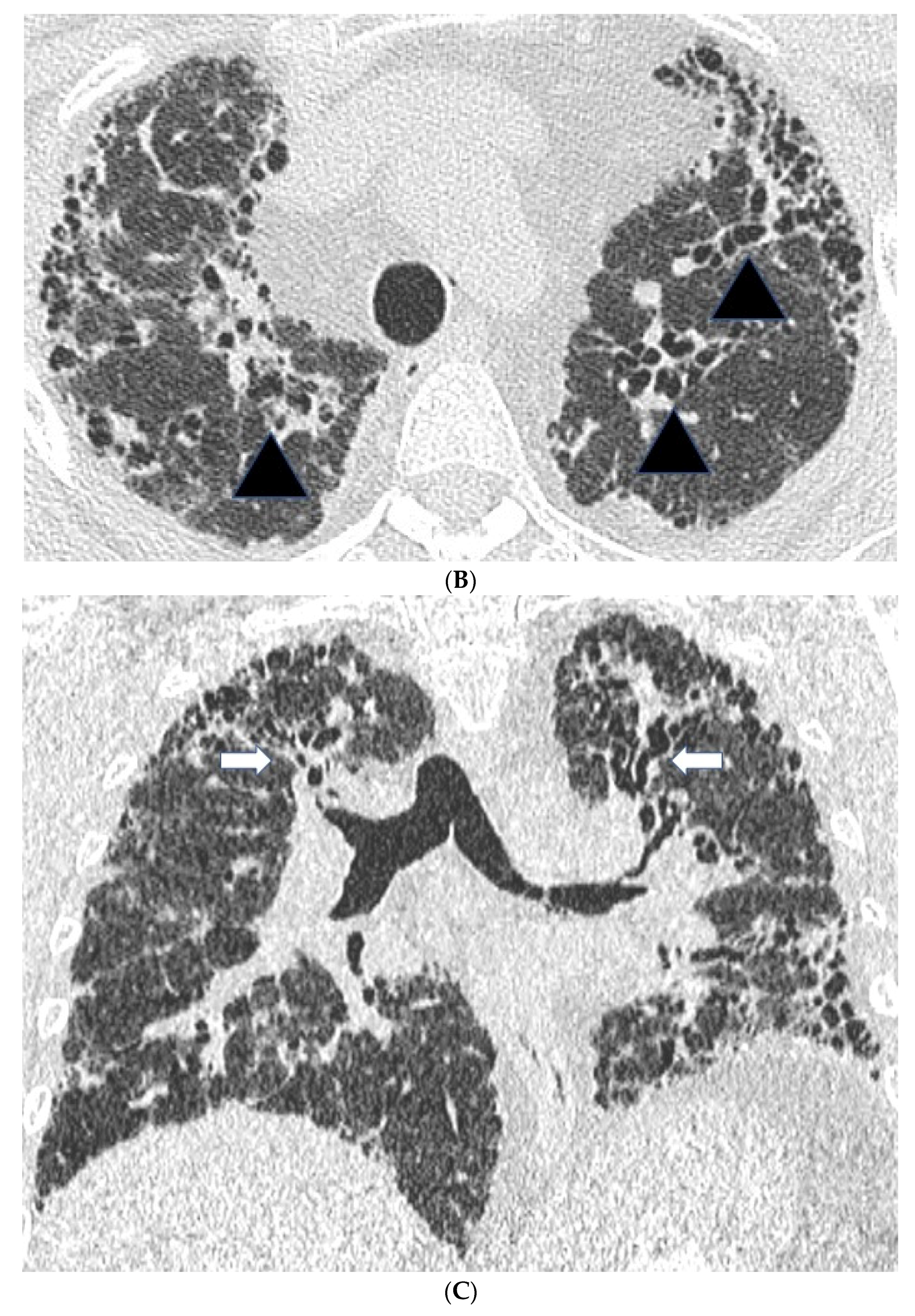 Jcm 06 00062 g001b 550