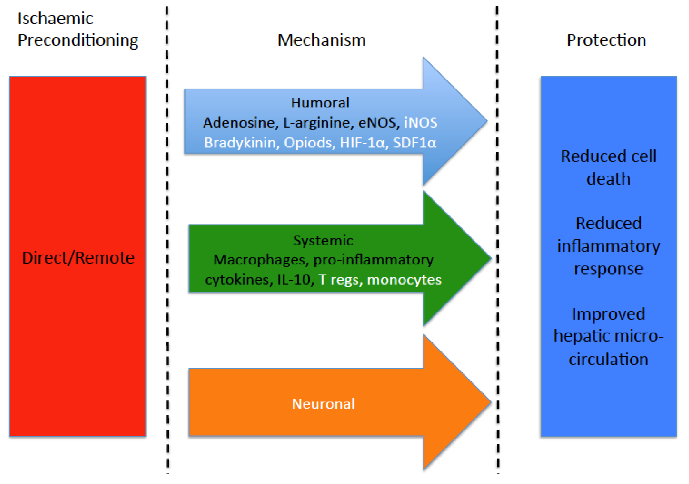 Failed precondition. Пример тест-кейса в тестировании. Failed precondition. Коды состояния. Статус код.