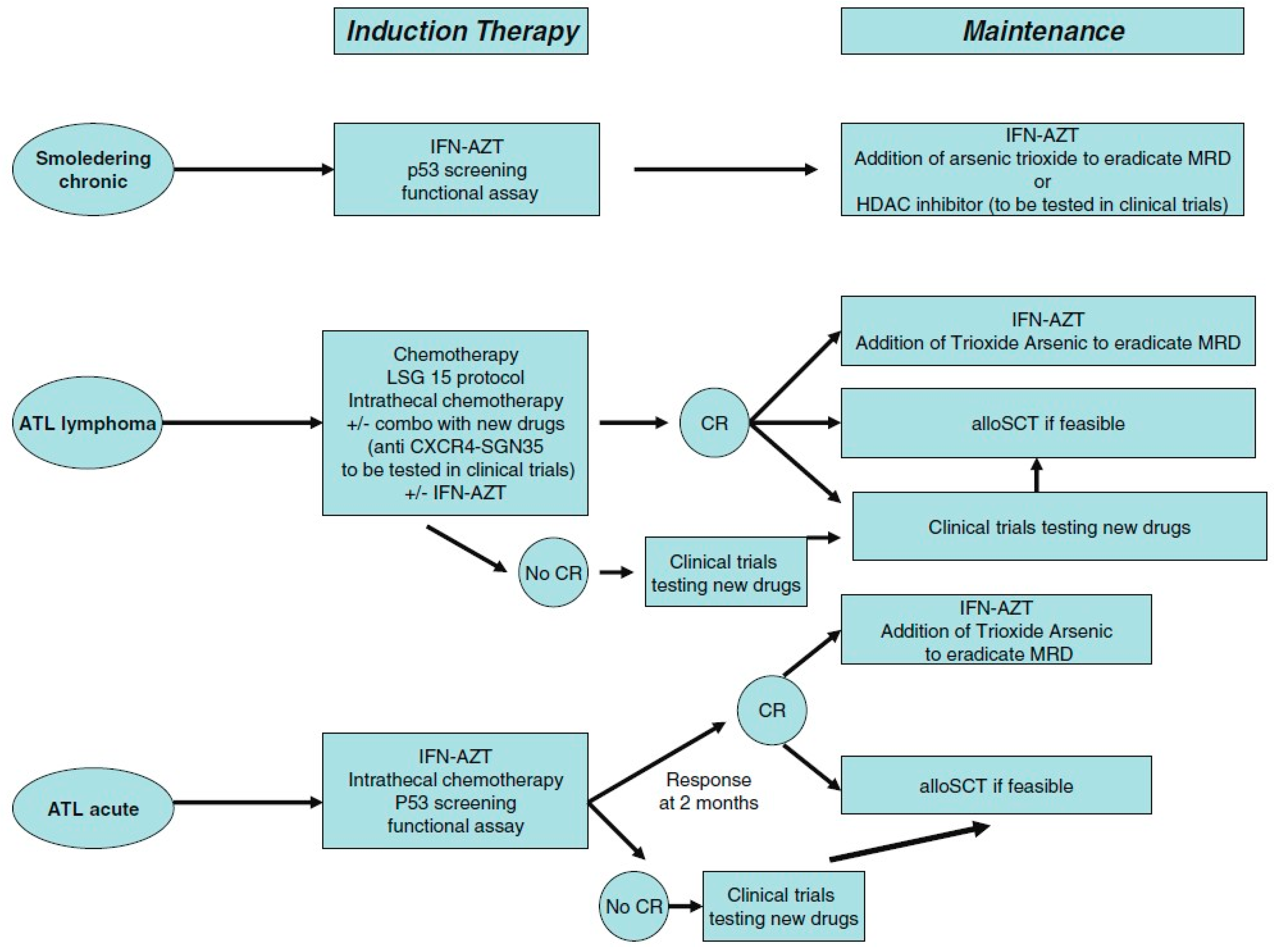 Jcm Free Full Text Viral Oncology Molecular Biology And Pathogenesis Html