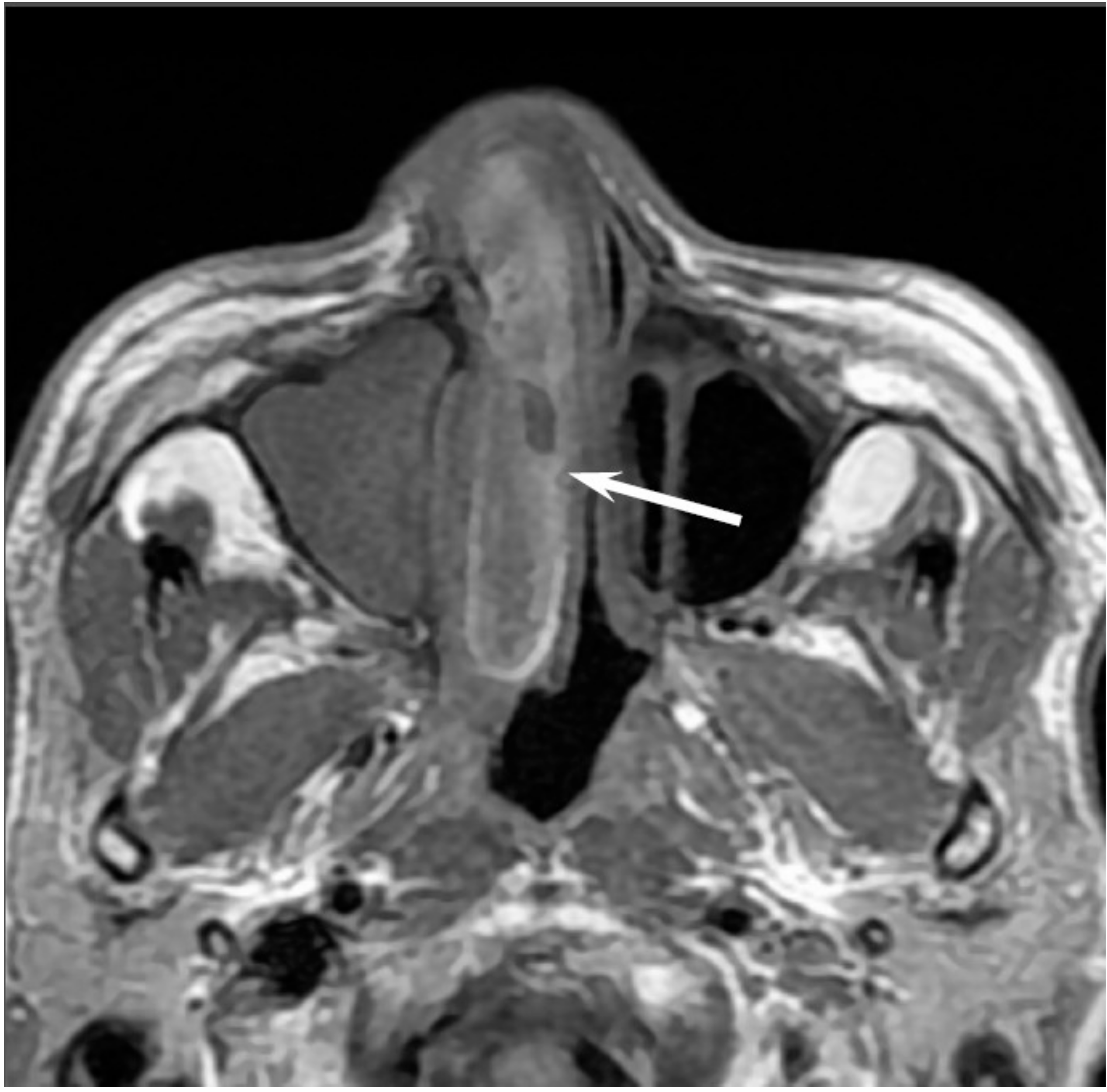 Jcm 06 00116 g008 550