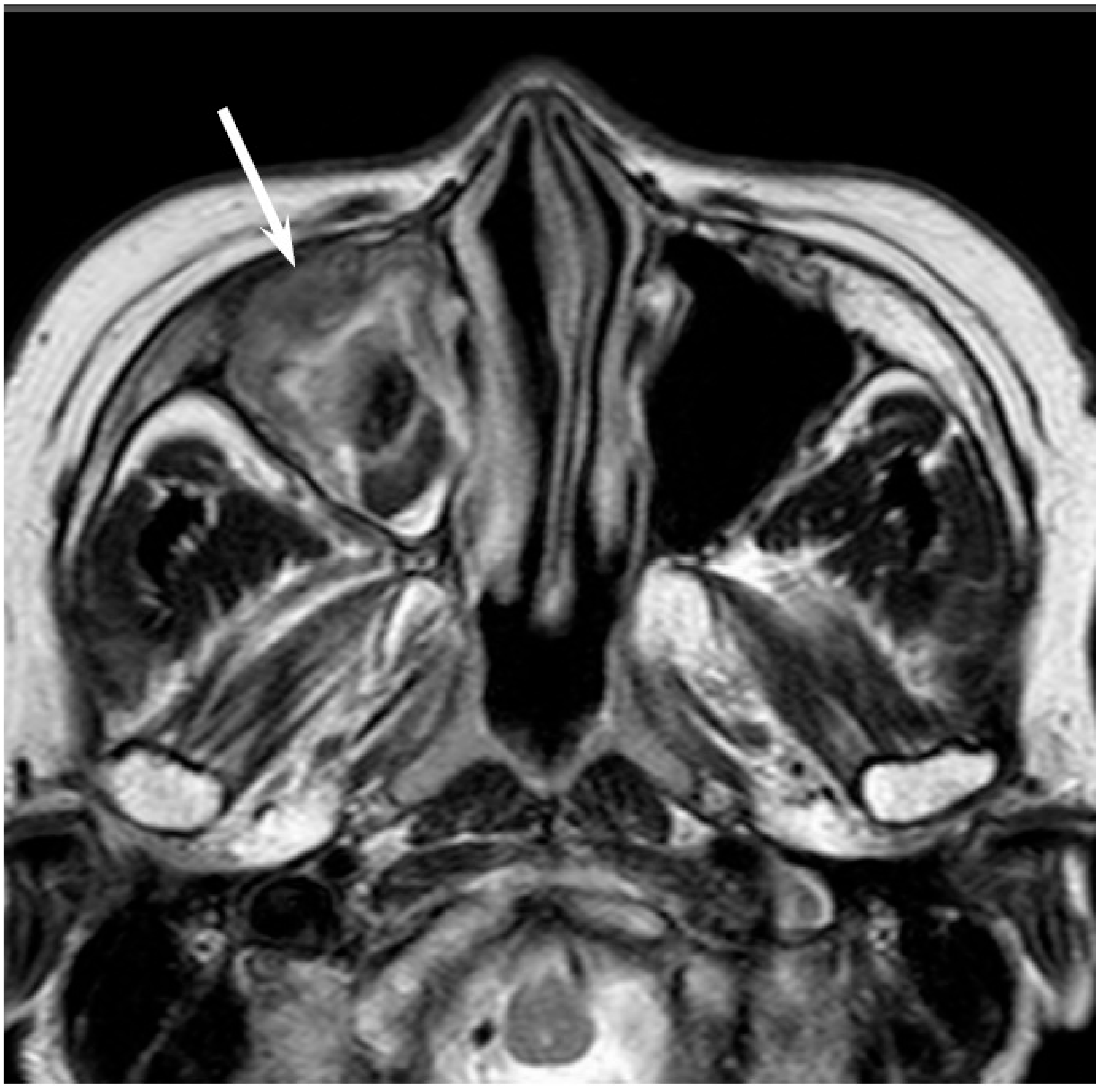 Jcm 06 00116 g010 550