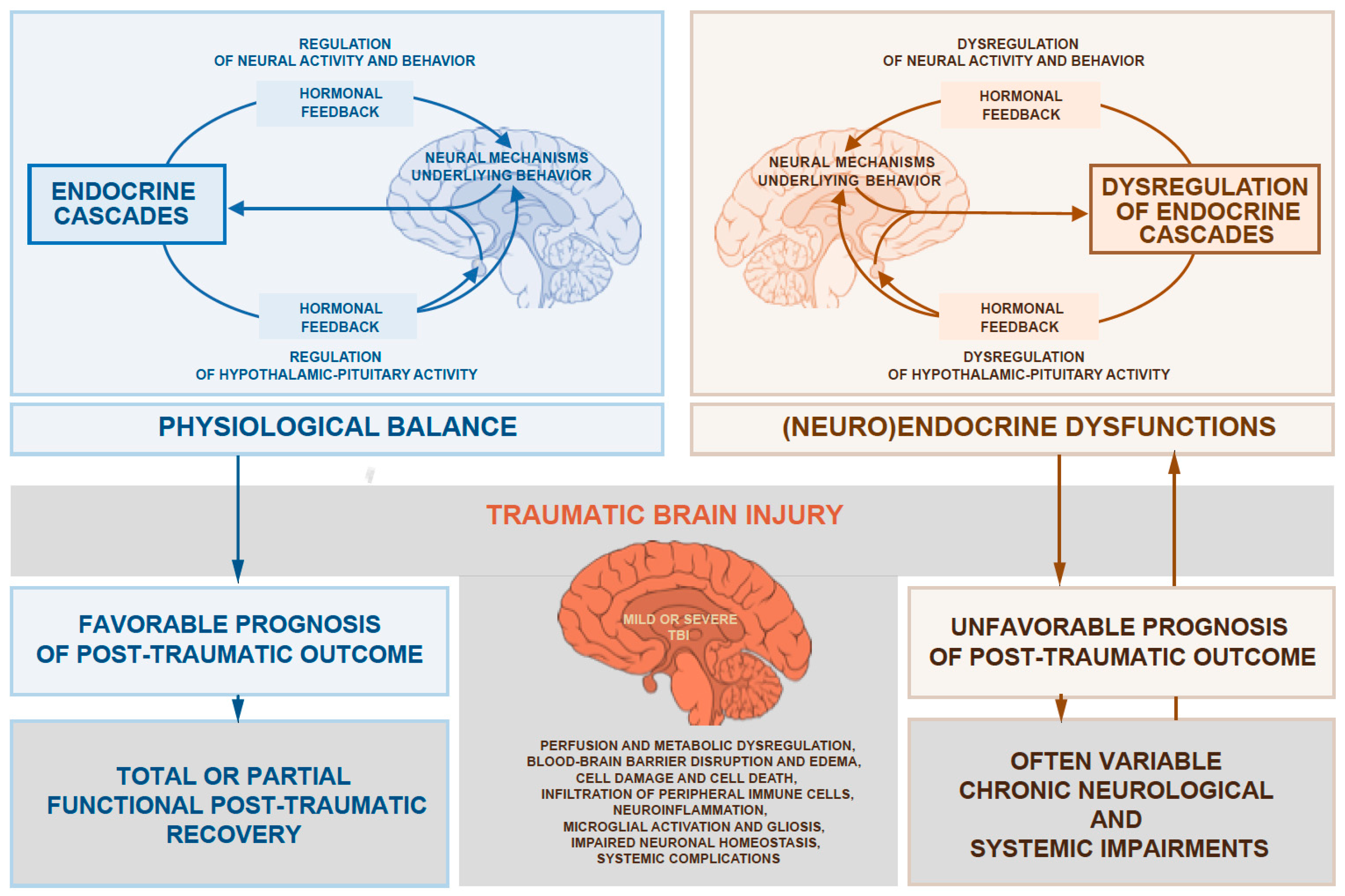 Assessment of neuroendocrine dysfunction following traumatic brain injury.