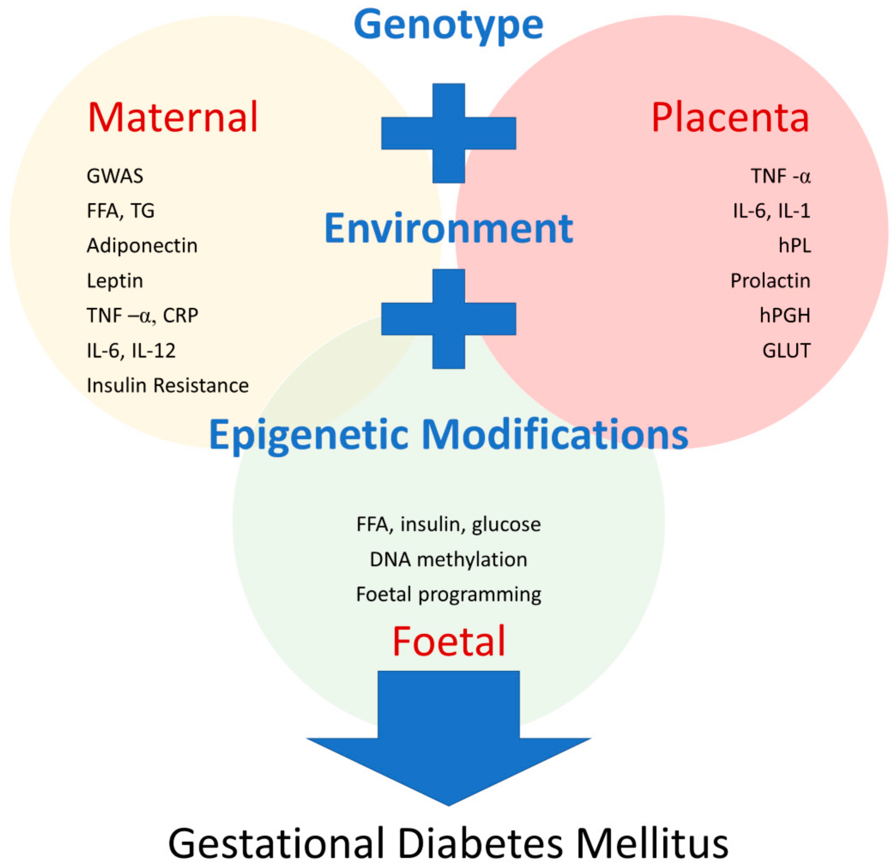 diagnosis of gestational diabetes