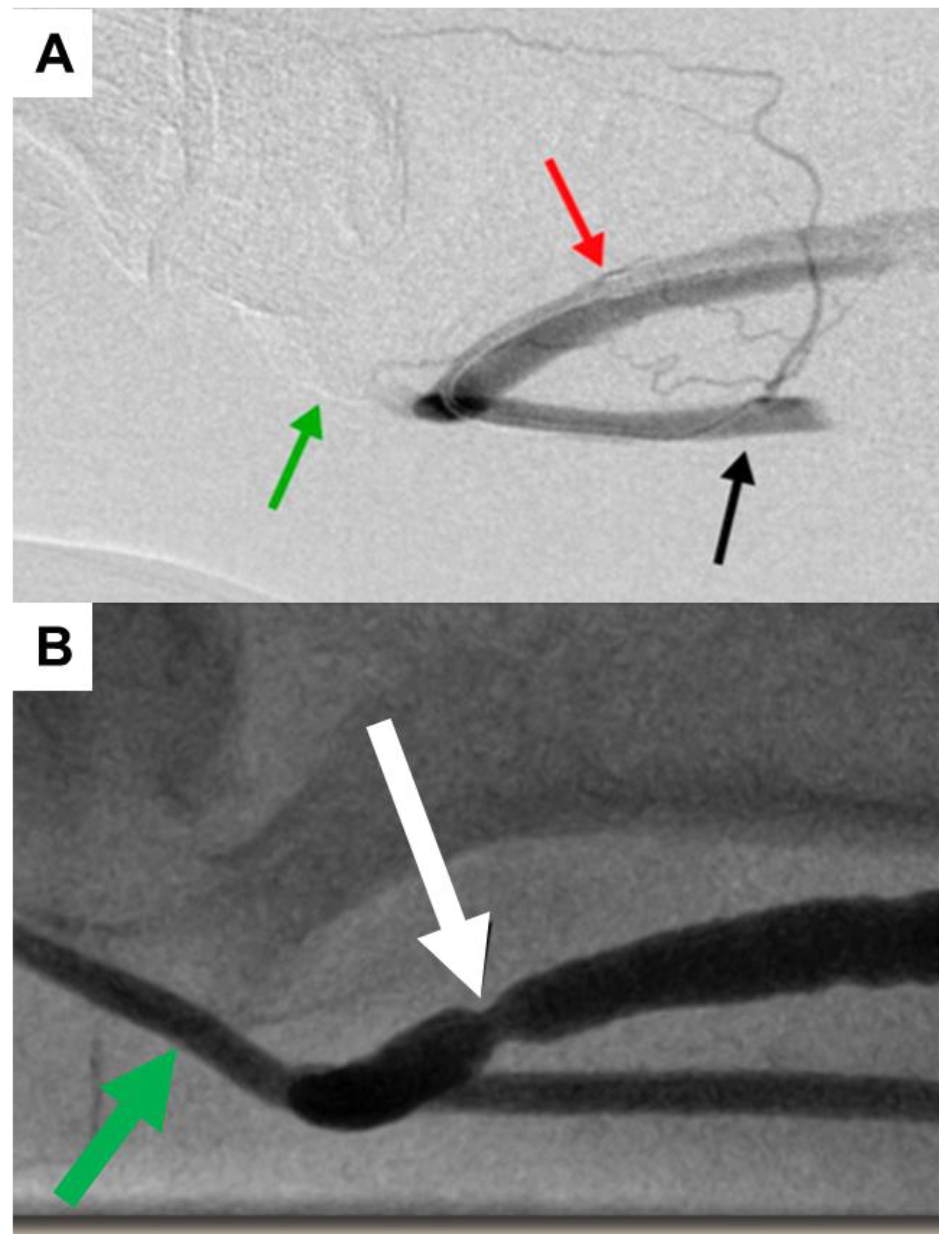 Jcm 07 00128 g006