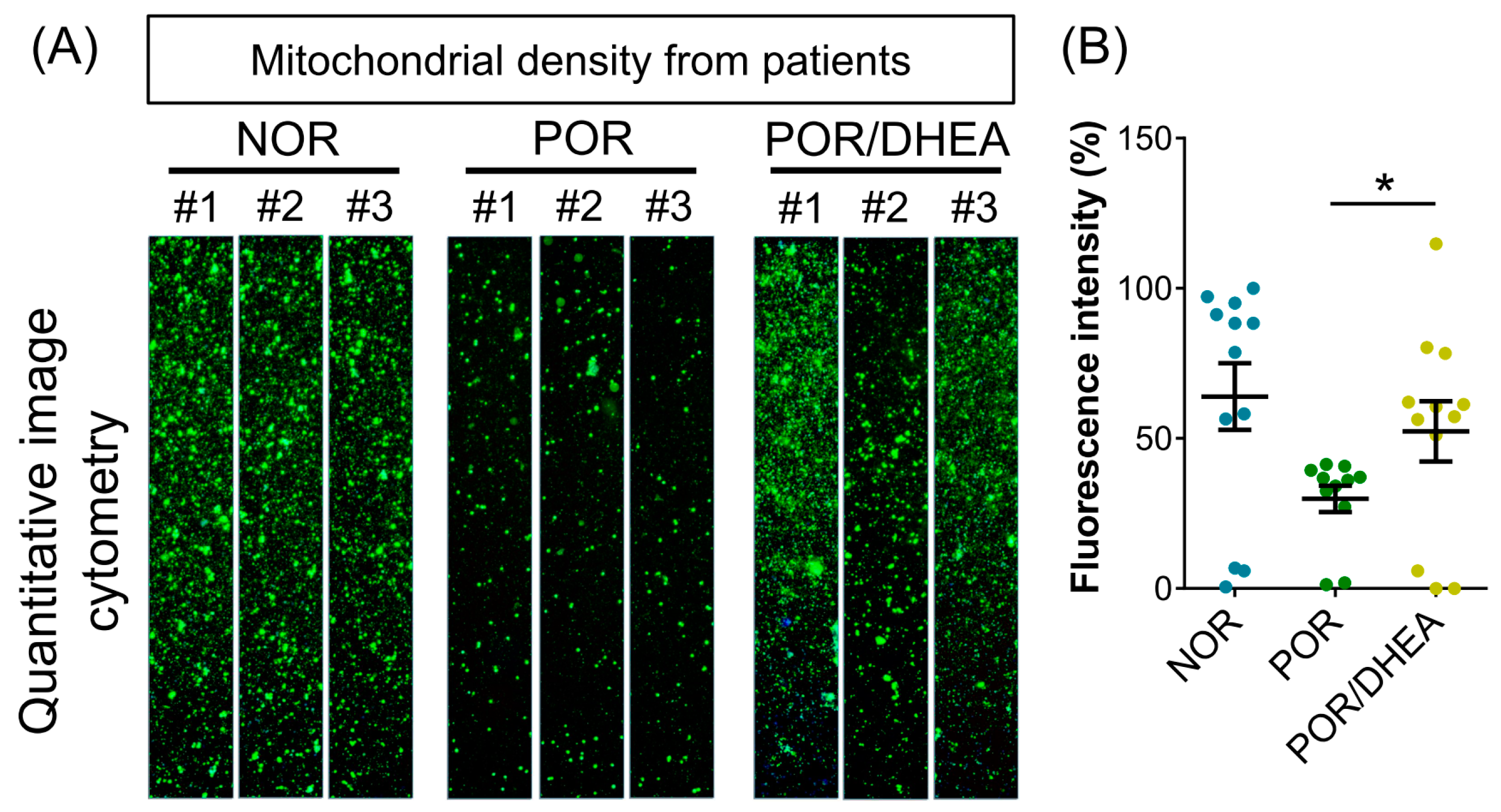 Jcm 07 00293 g003 Jcm 07 00293 g003