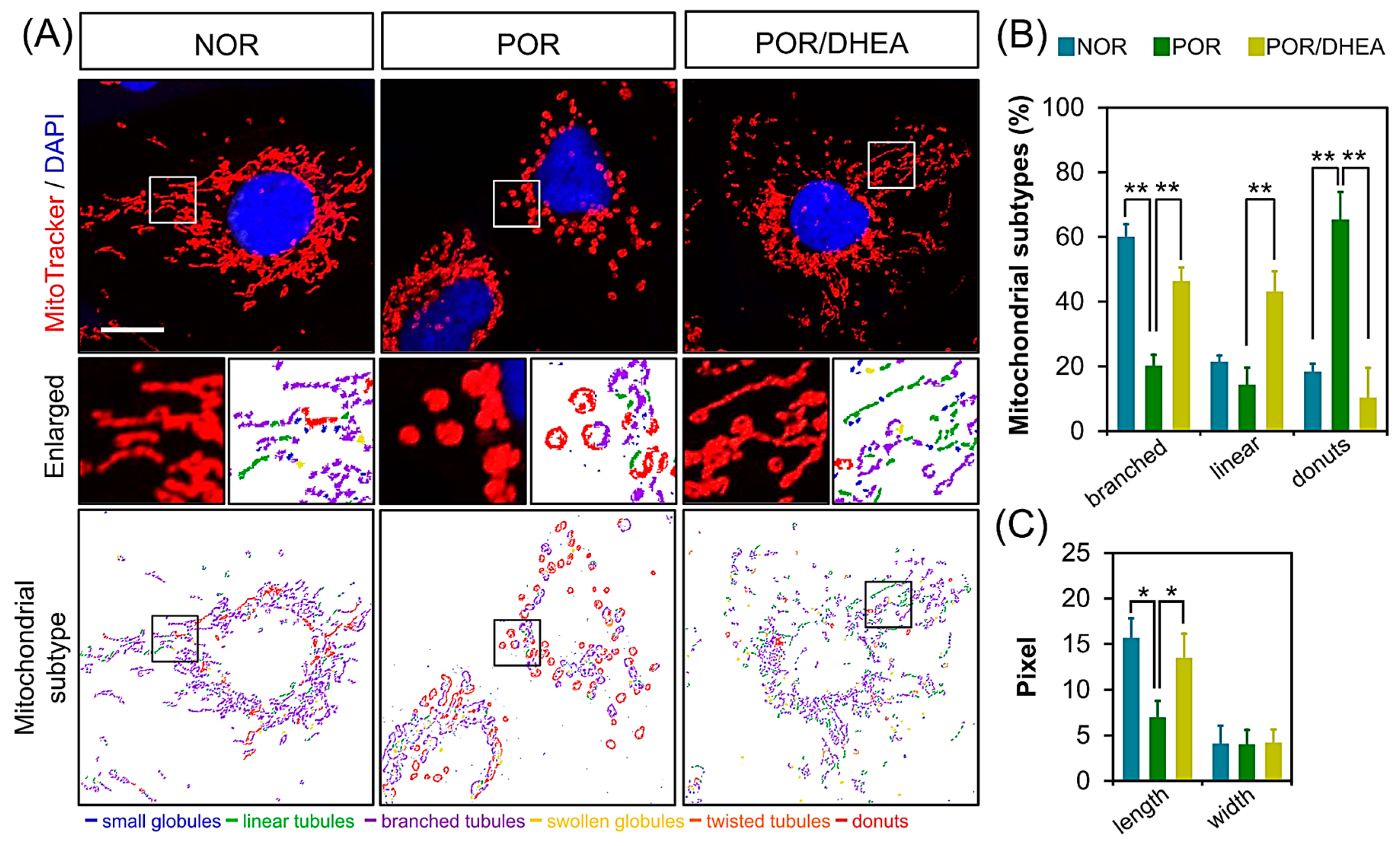 Jcm 07 00293 g004 Jcm 07 00293 g004