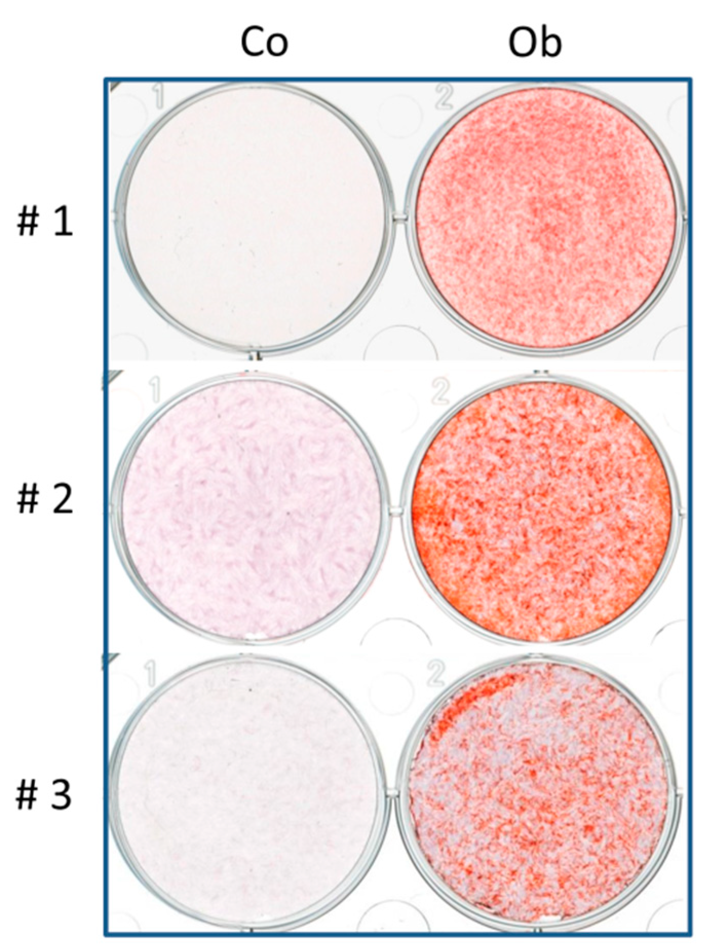 Jcm 07 00312 g001 Jcm 07 00312 g001