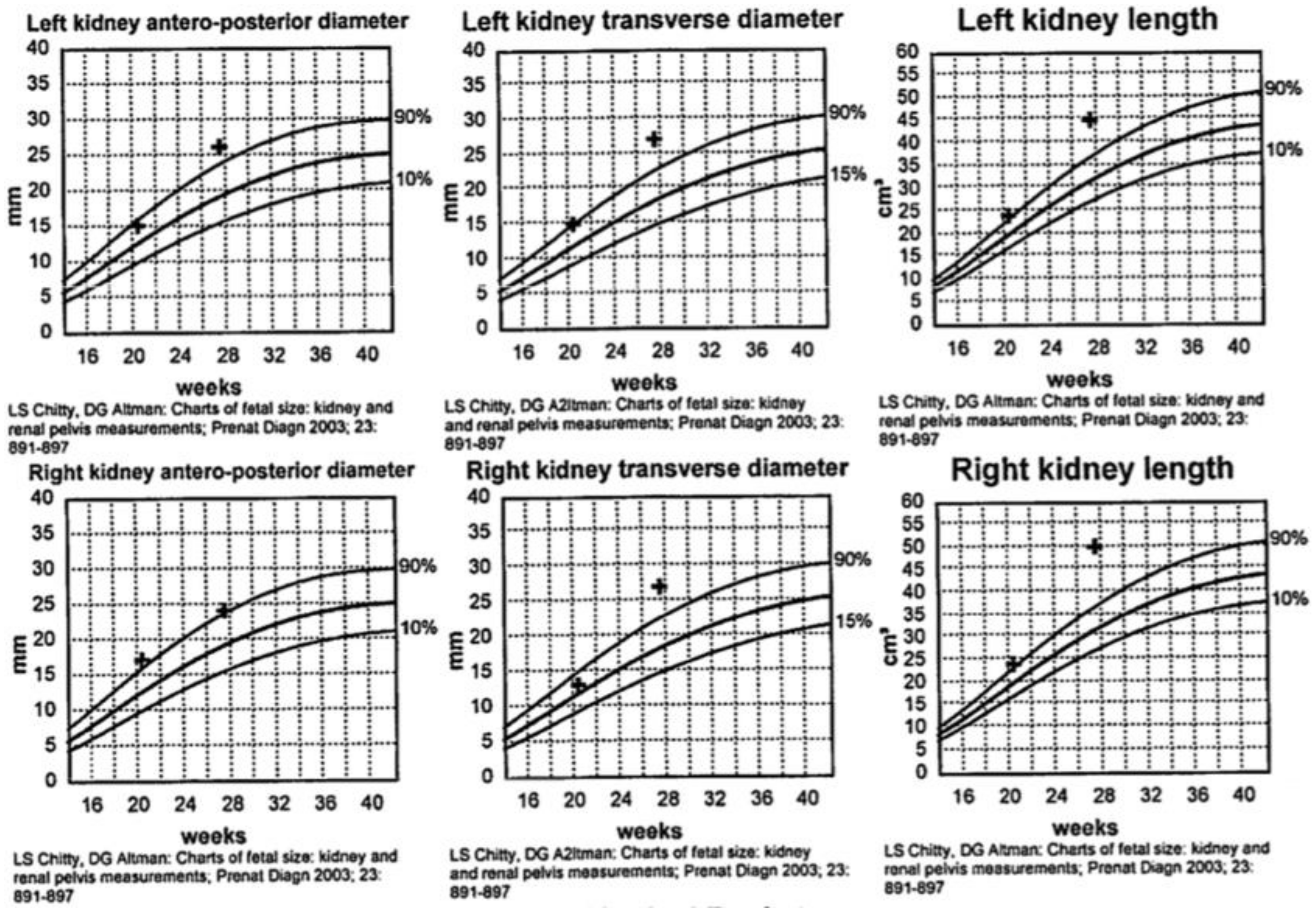 Fetal Kidney Size Chart
